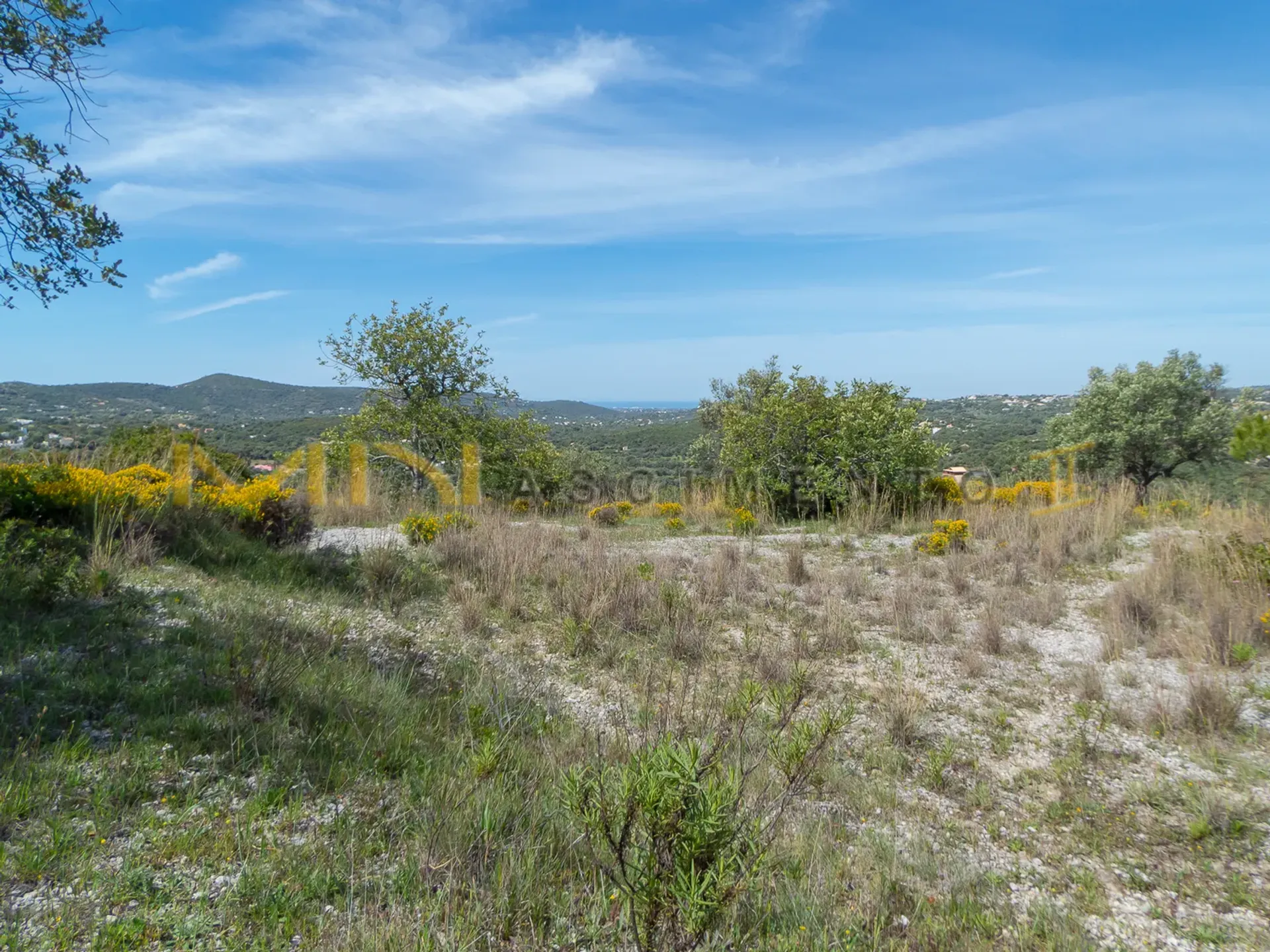 Tanah dalam Santa Bárbara de Nexe, Faro 10483791