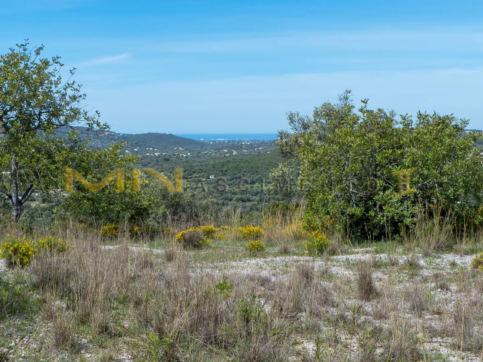 Tanah dalam Santa Bárbara de Nexe, Faro 10483791