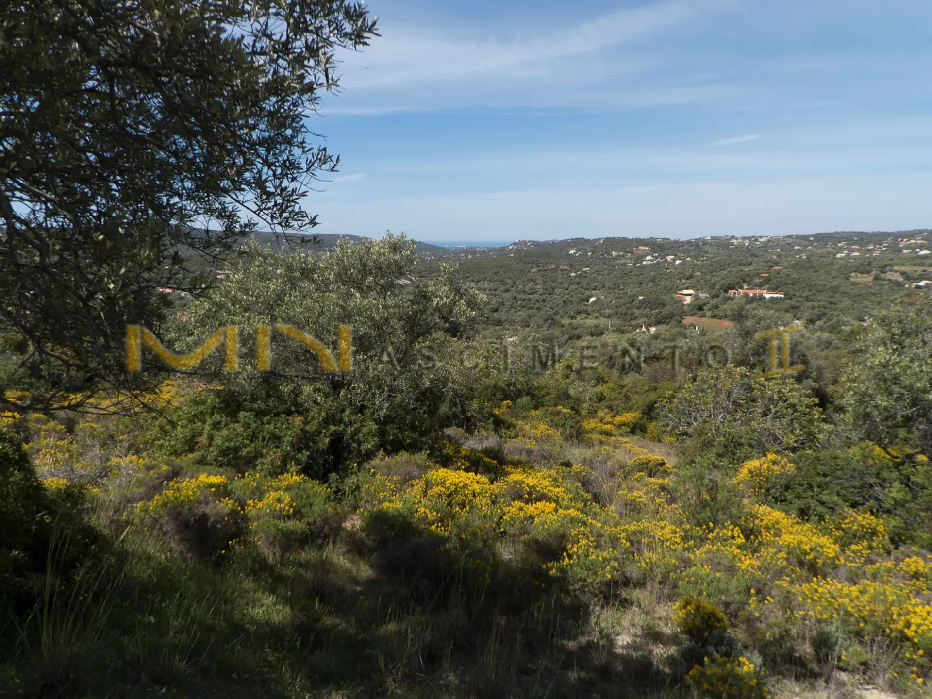 Tanah dalam Santa Bárbara de Nexe, Faro 10483791