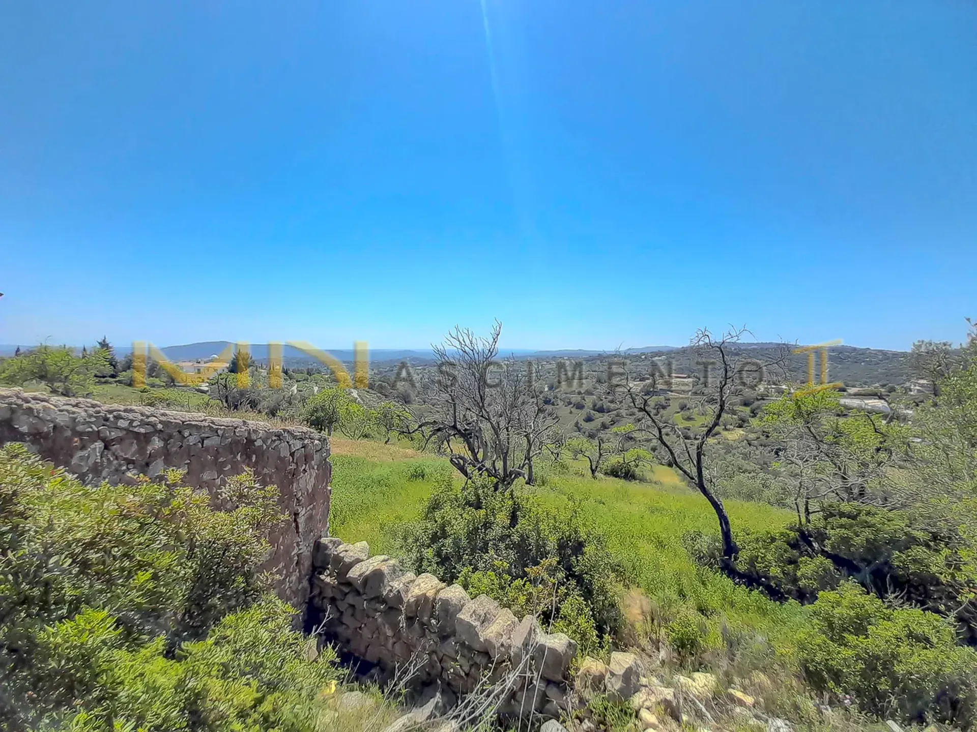 Tierra en Caños, Faraón 10483792