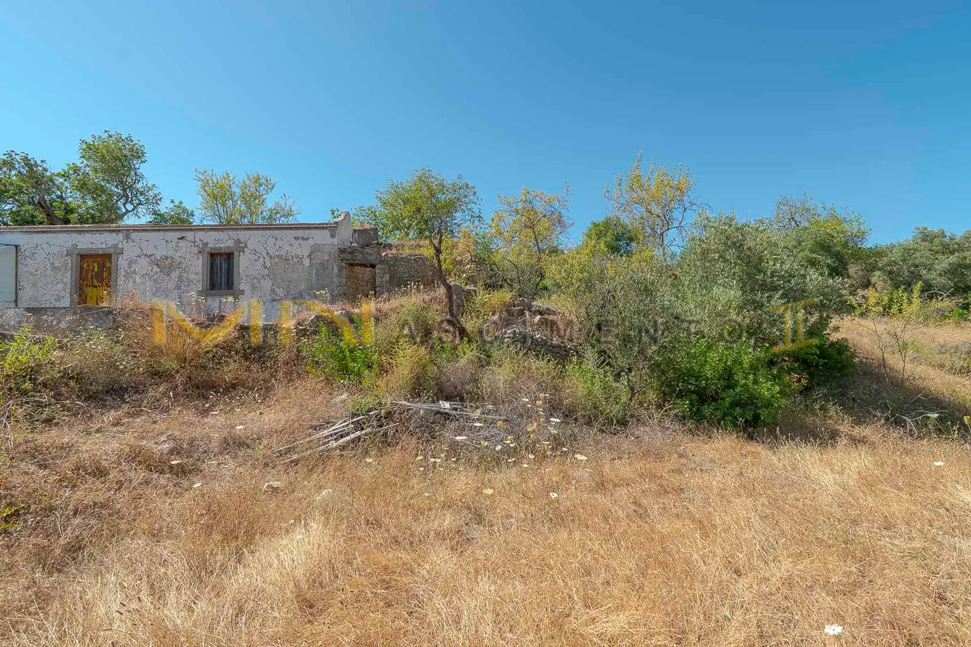 Tierra en Caños, Faraón 10483794