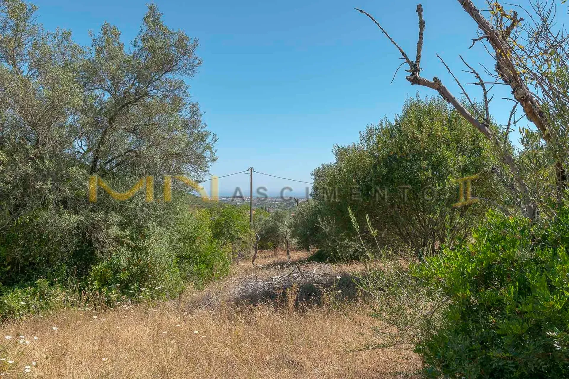 Tierra en Caños, Faraón 10483794