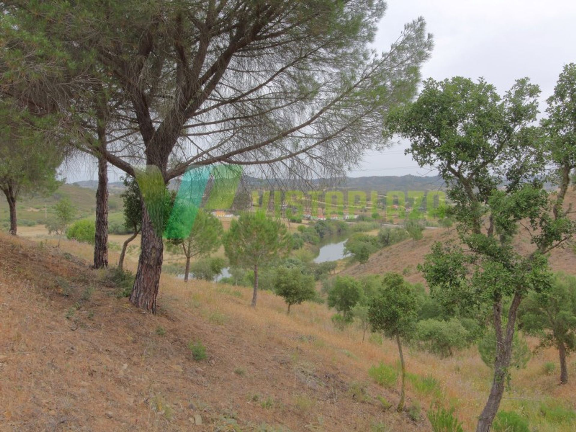 Haus im São Bartolomeu de Messines, Faro 10484014