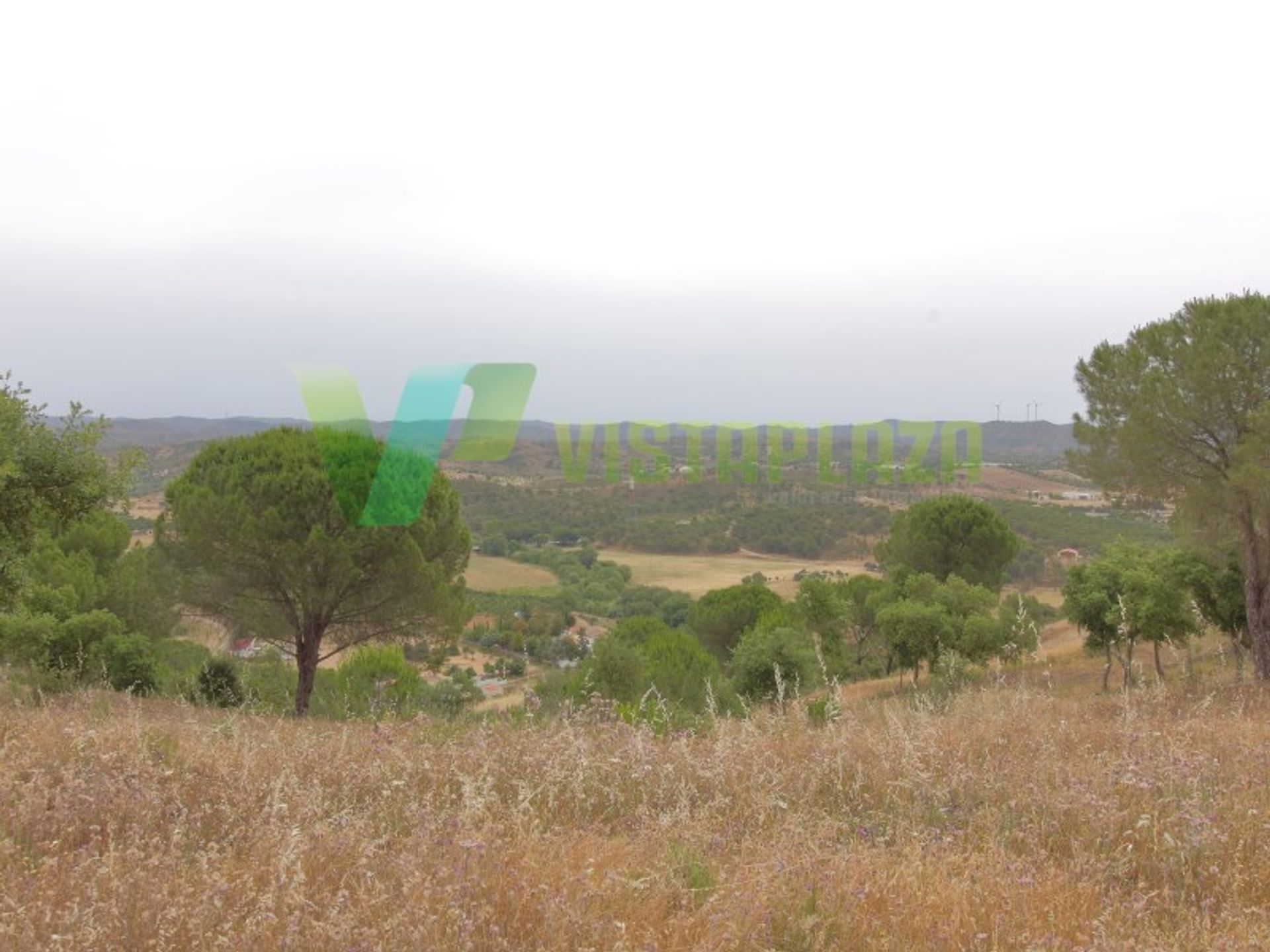 casa no Sao Bartolomeu de Messines, Faro 10484014