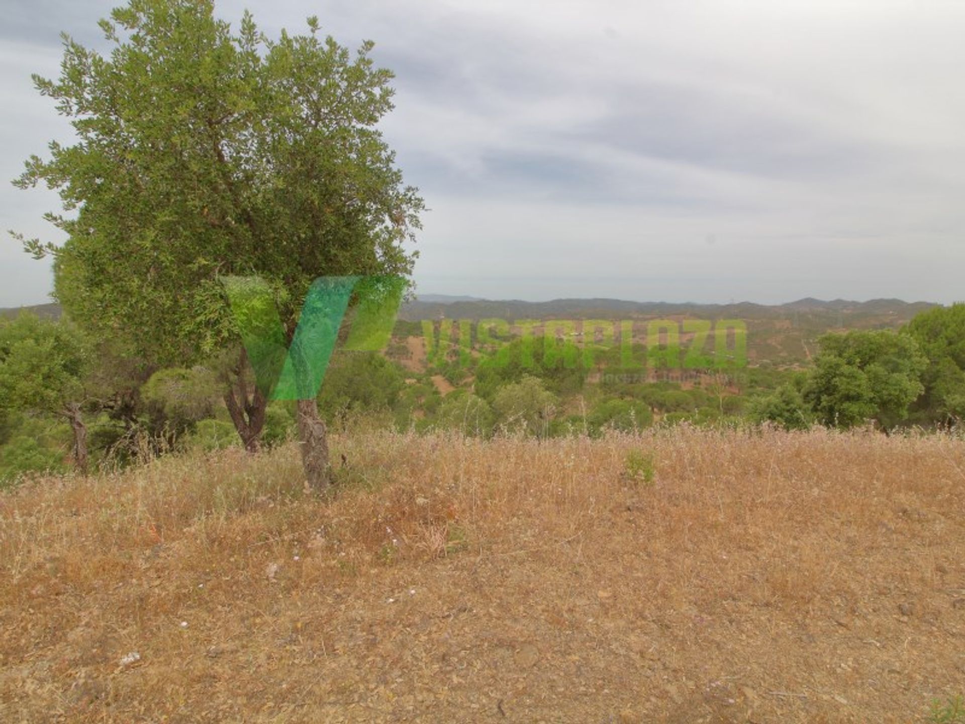 Rumah di São Bartolomeu de Messines, Faro 10484014