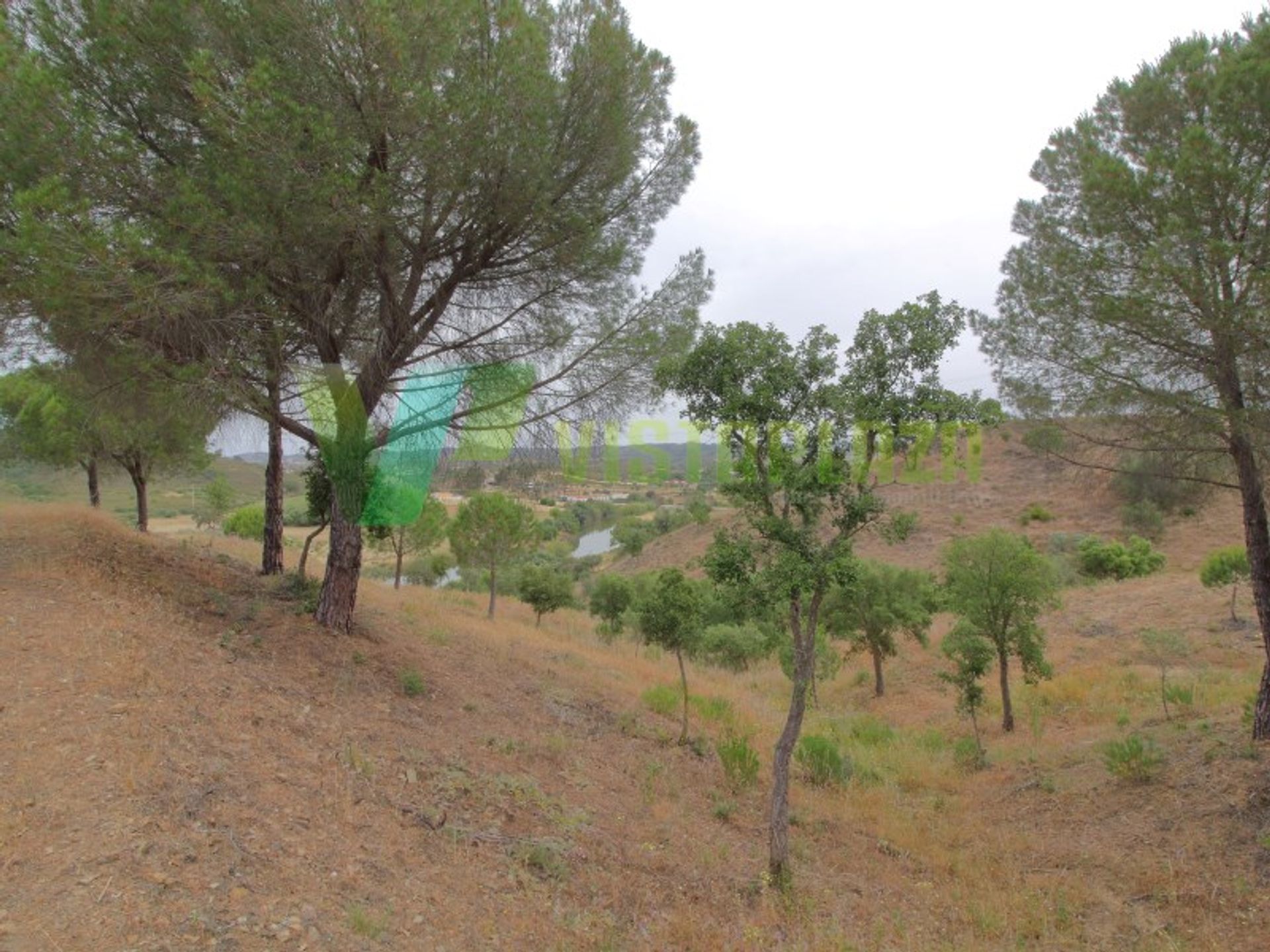 Rumah di São Bartolomeu de Messines, Faro 10484014