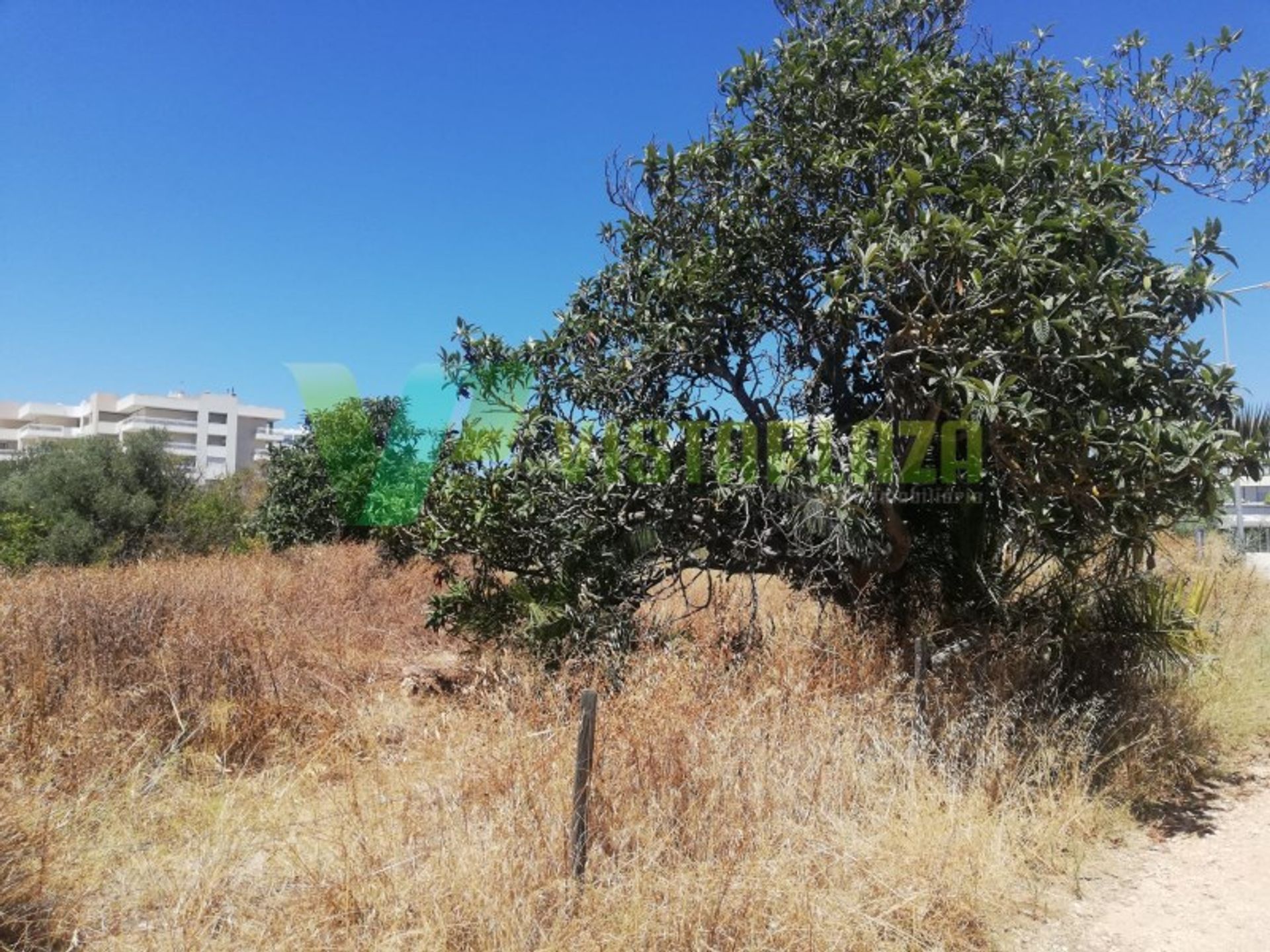 الأرض في Alvor, Faro 10484029