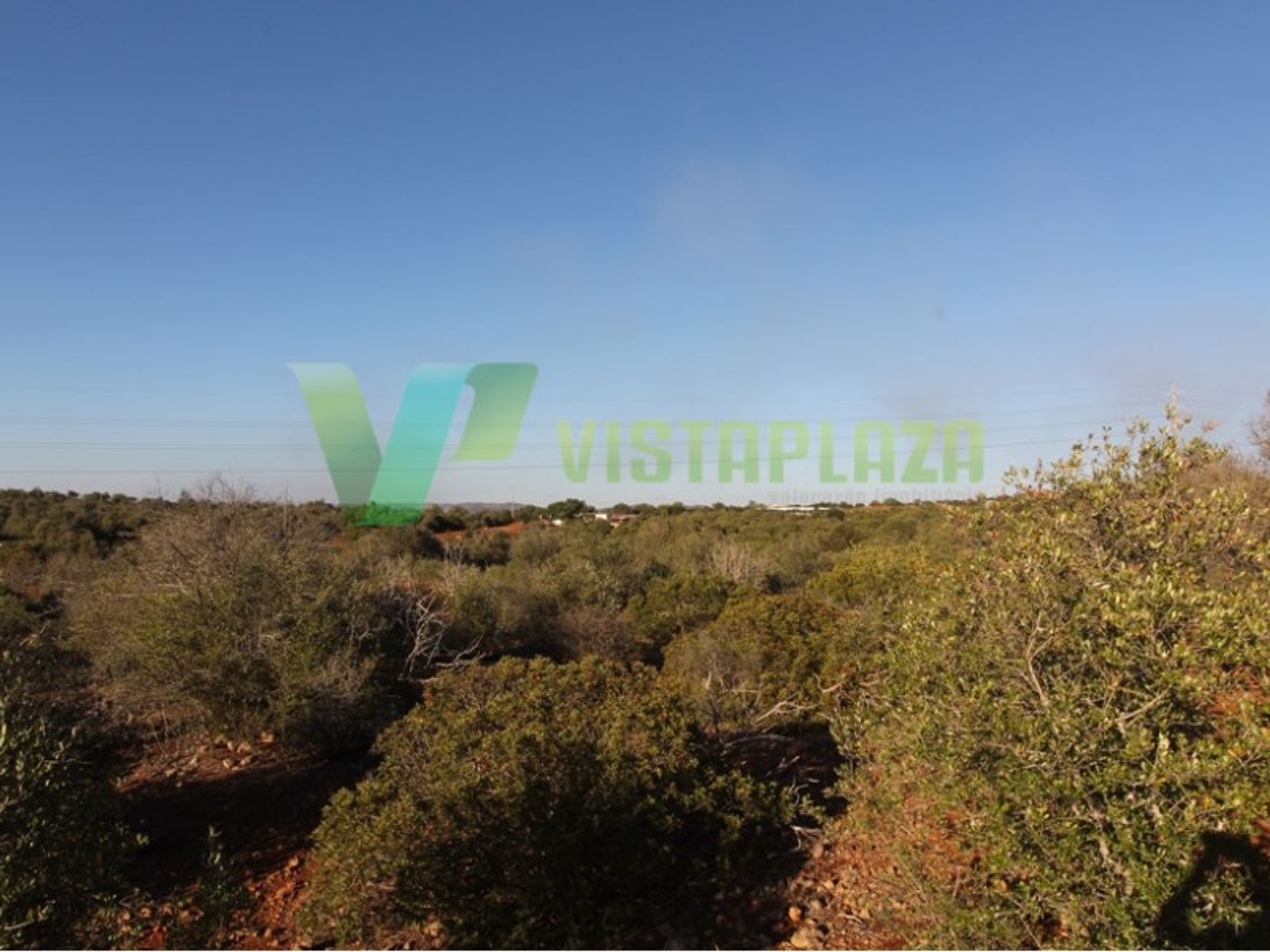 Land in Silves, Faro 10484049