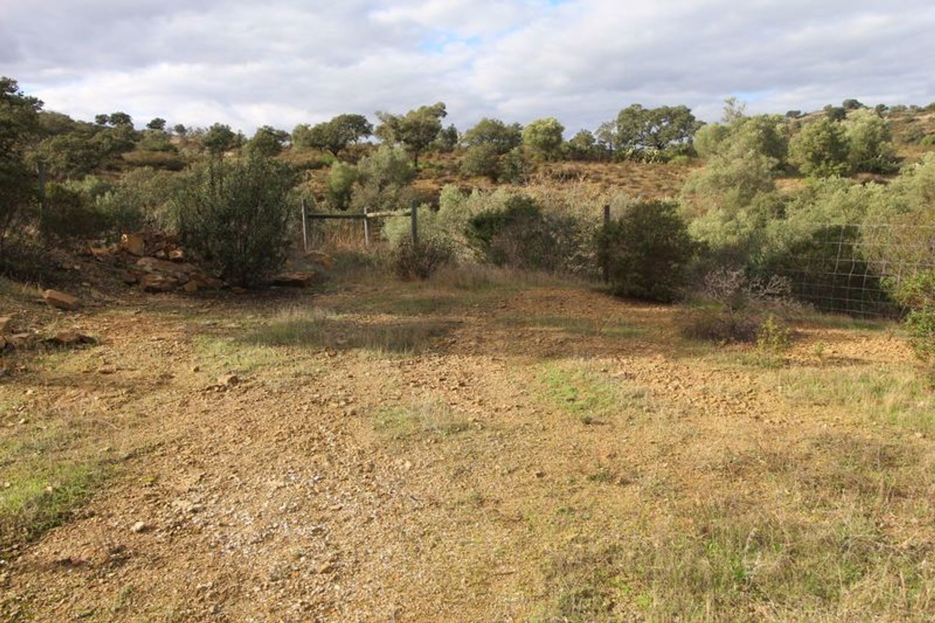 Tierra en odeleita, Faraón 10484771