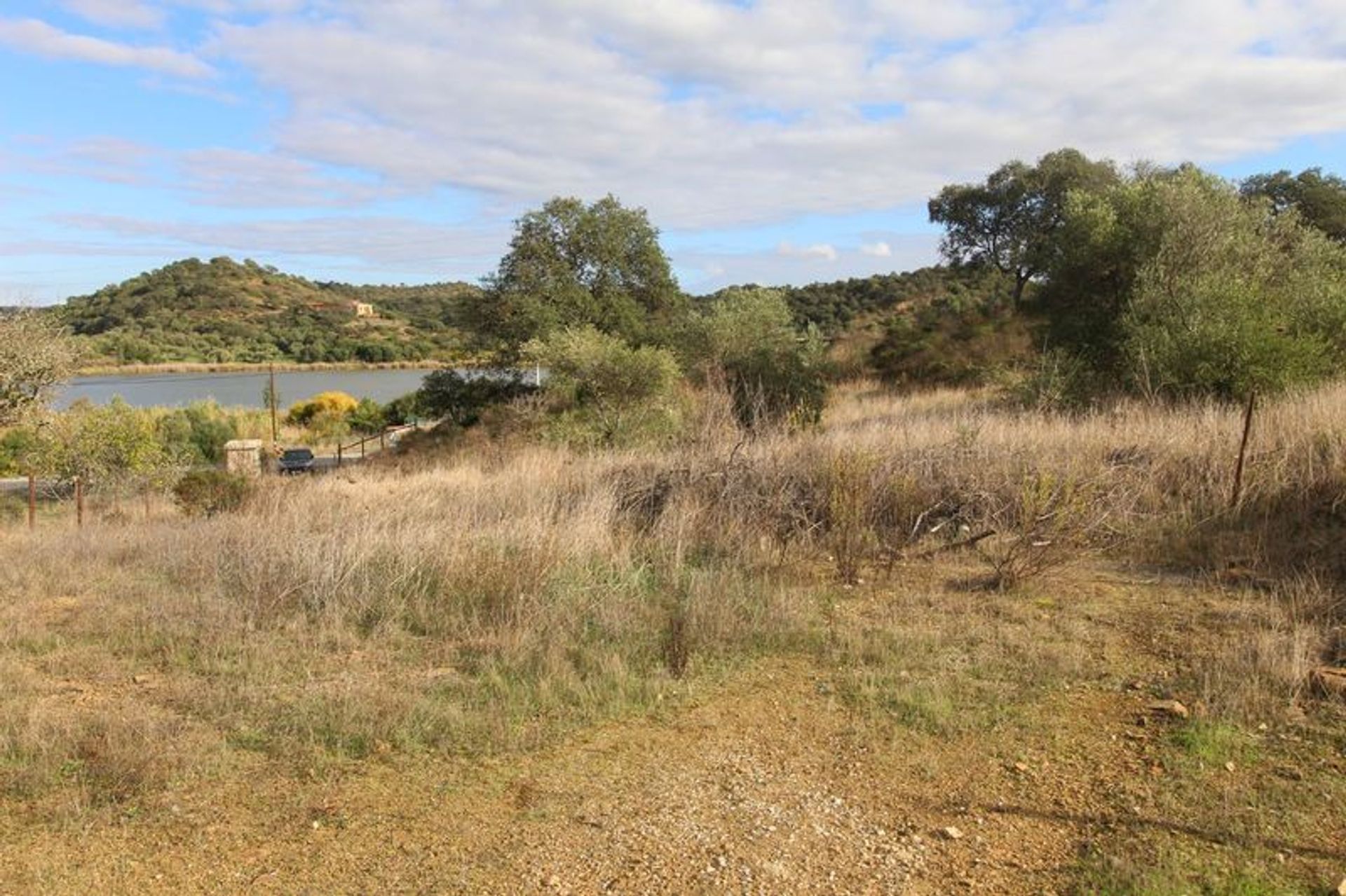 Tierra en odeleita, Faraón 10484771