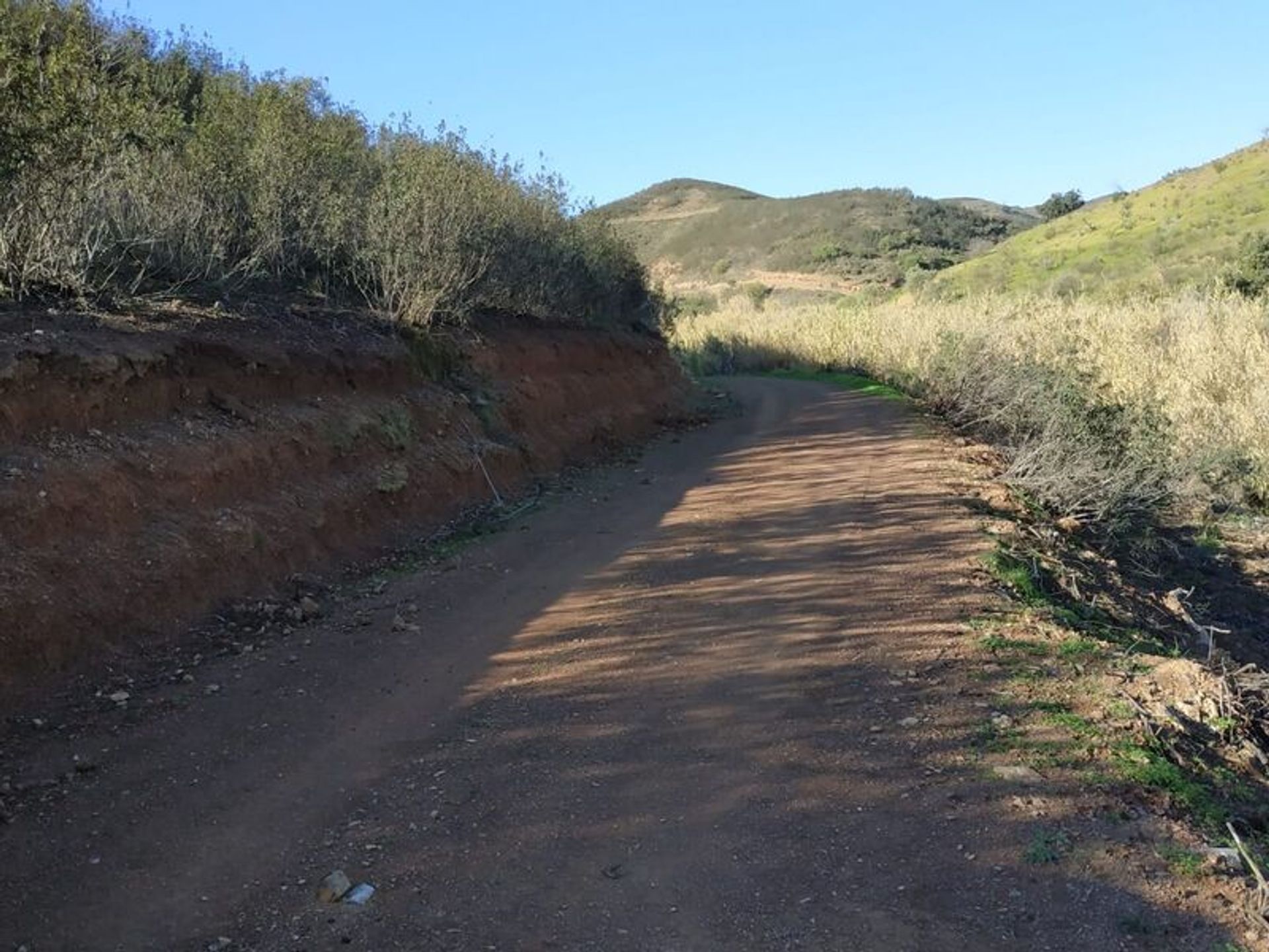 Tierra en azinhal, Faraón 10484832