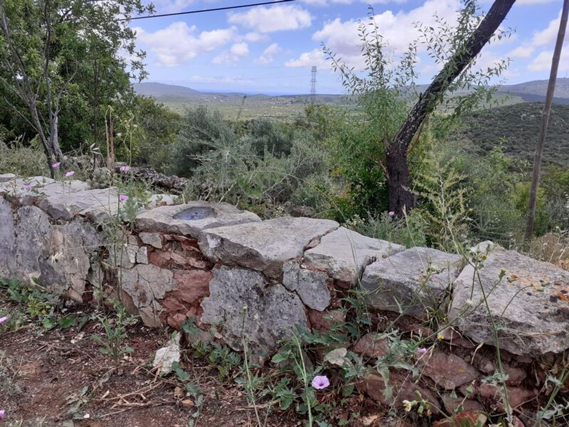 Γη σε Santa Catarina da Fonte do Bispo, Faro 10484864