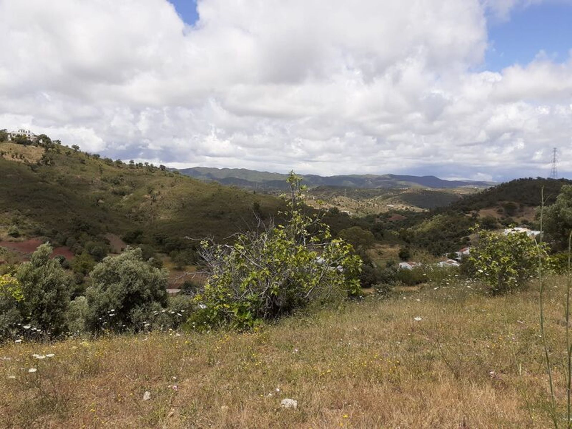 الأرض في Santa Catarina da Fonte do Bispo, Faro 10484869