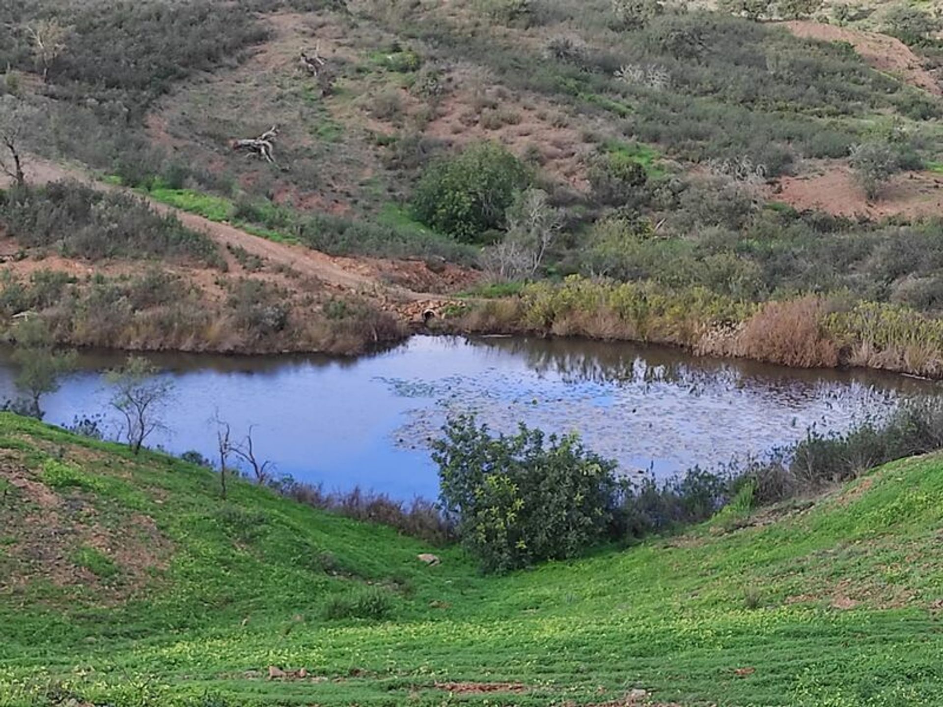 Tierra en Azinhal, Faro 10484941