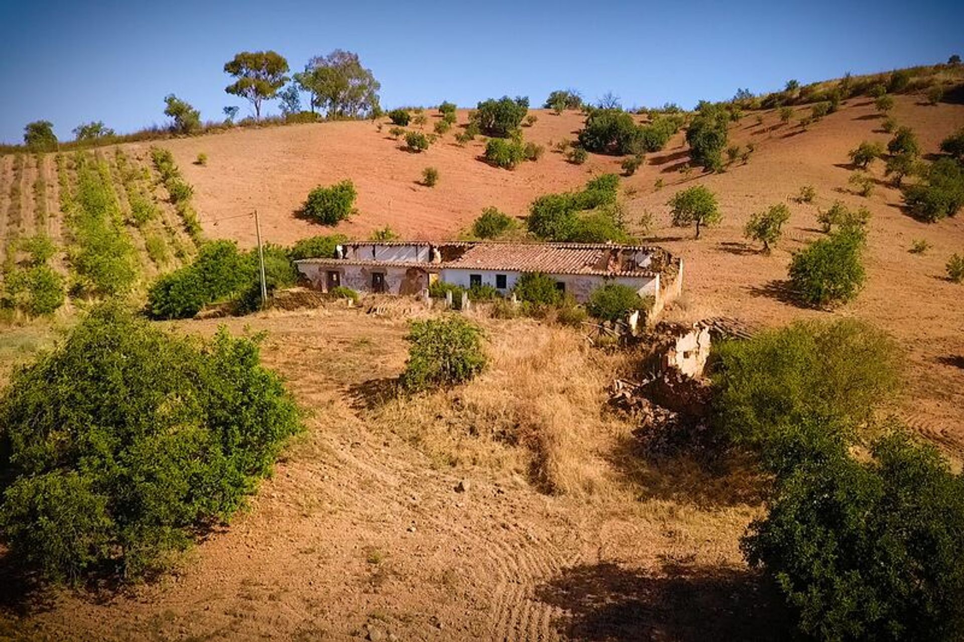 Tierra en moncarapacho, Faraón 10484966