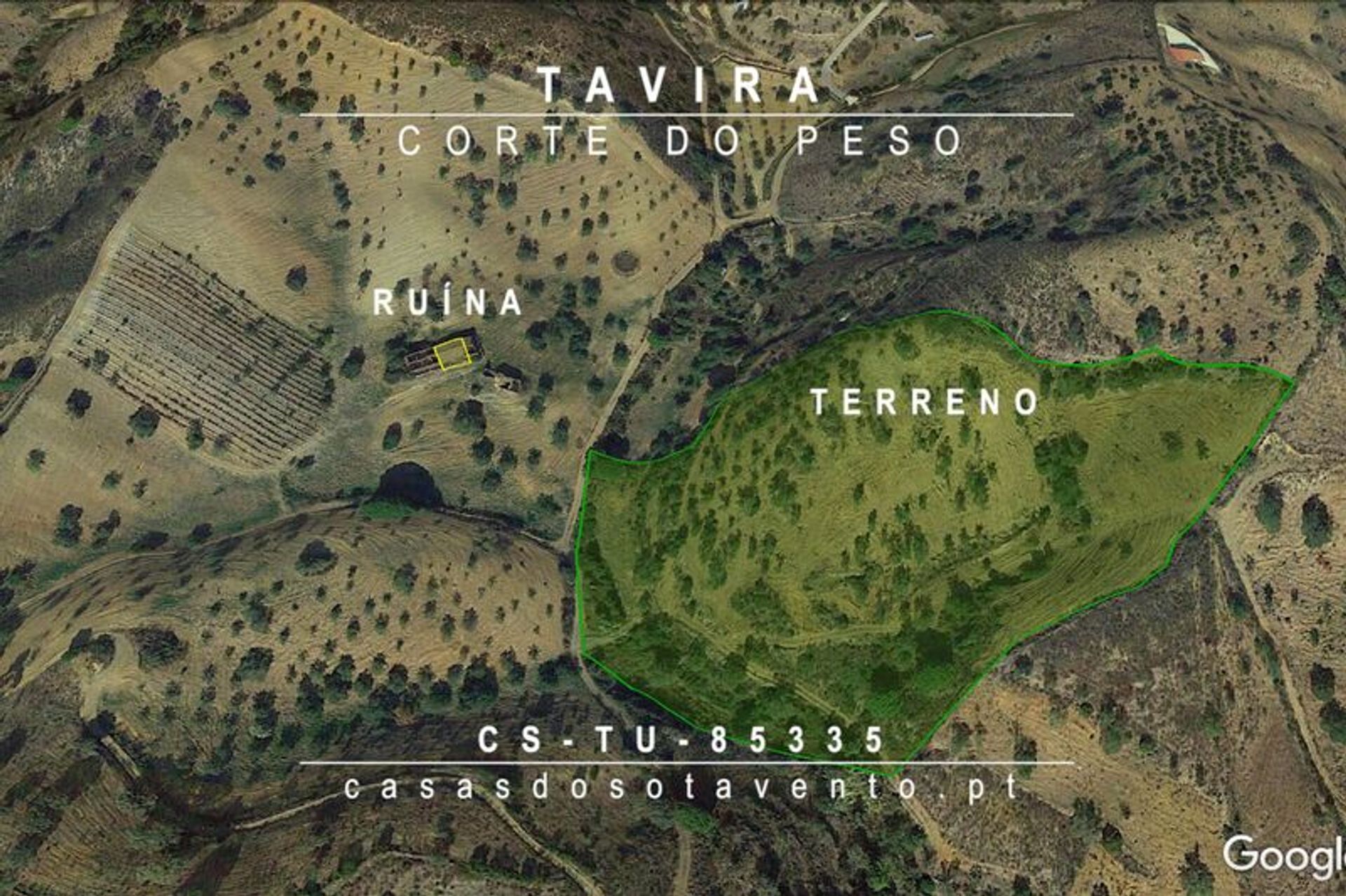 Tierra en moncarapacho, Faraón 10484966