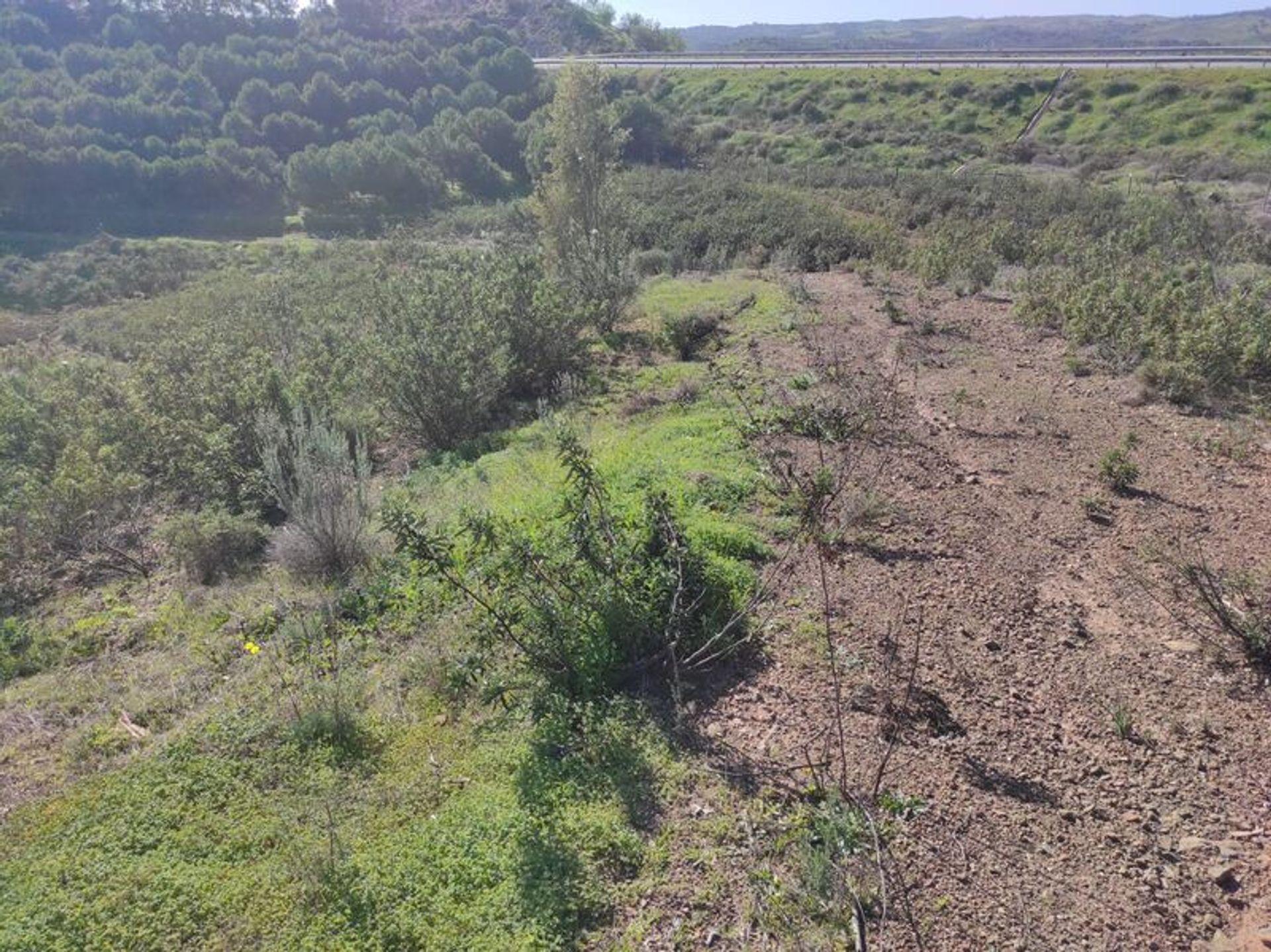 Tierra en Castro Marim, Faraón 10485028