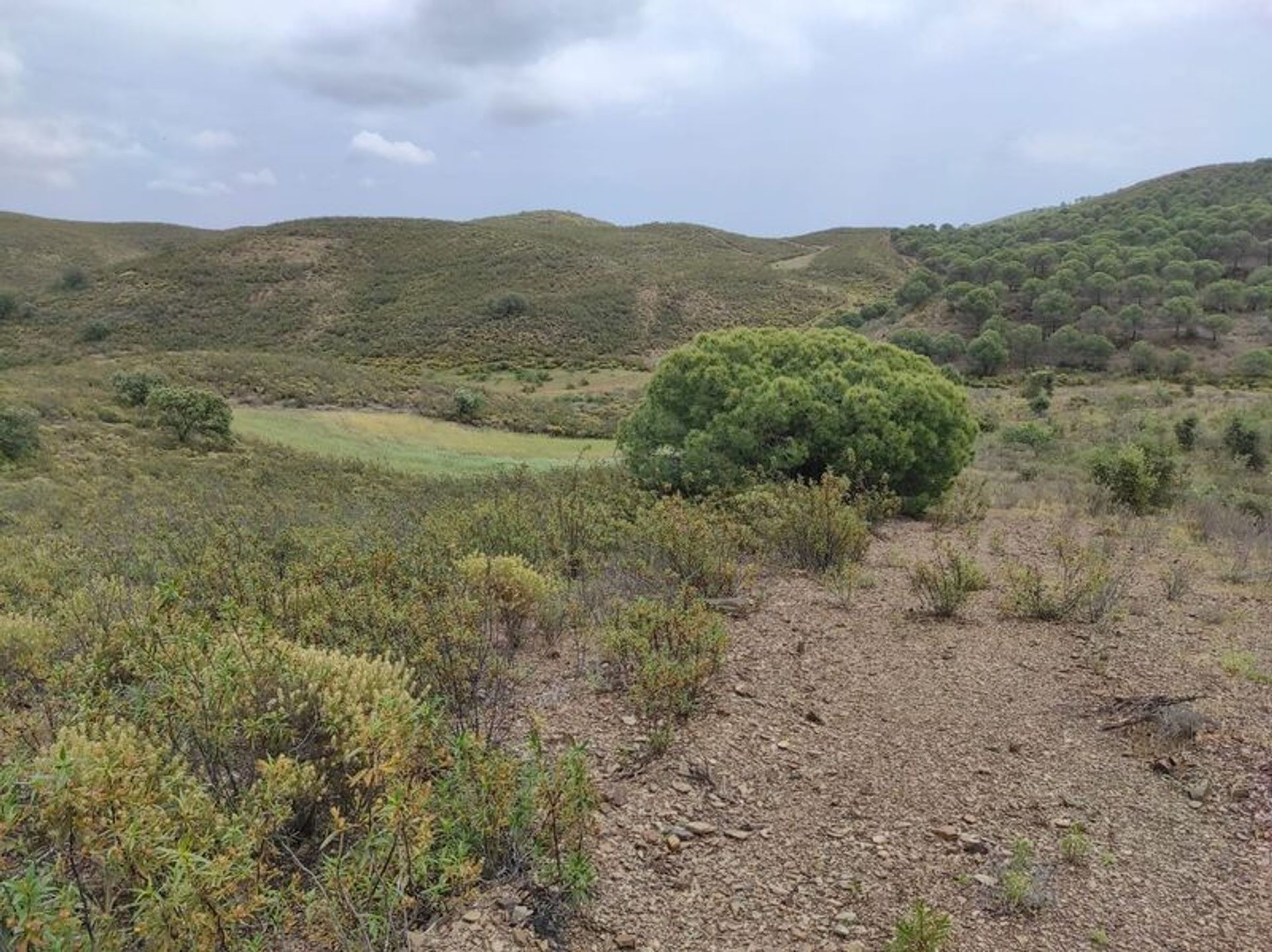 Tierra en Castro Marim, Faraón 10485033