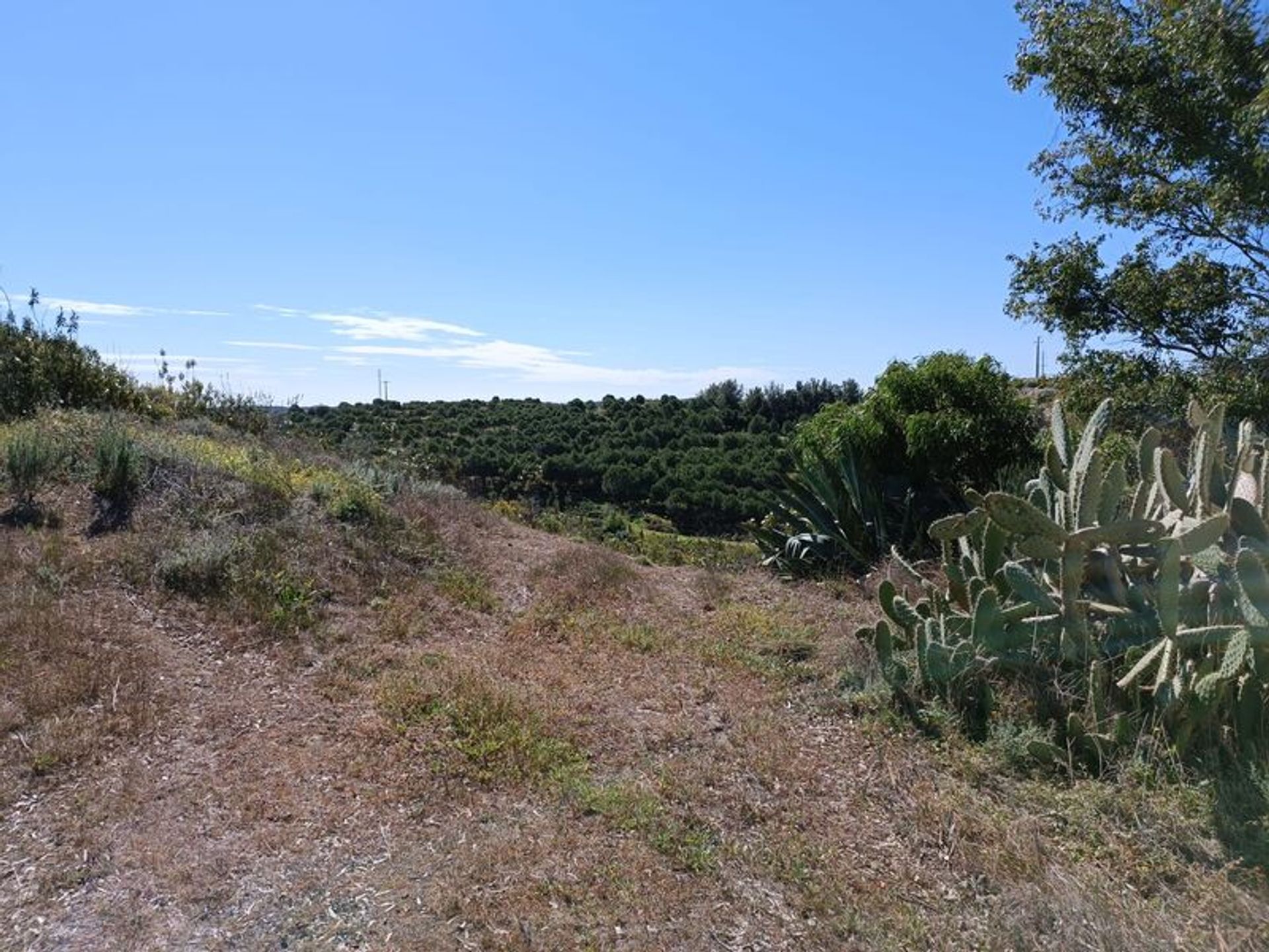 Land i Castro Marim, Faro District 10485056