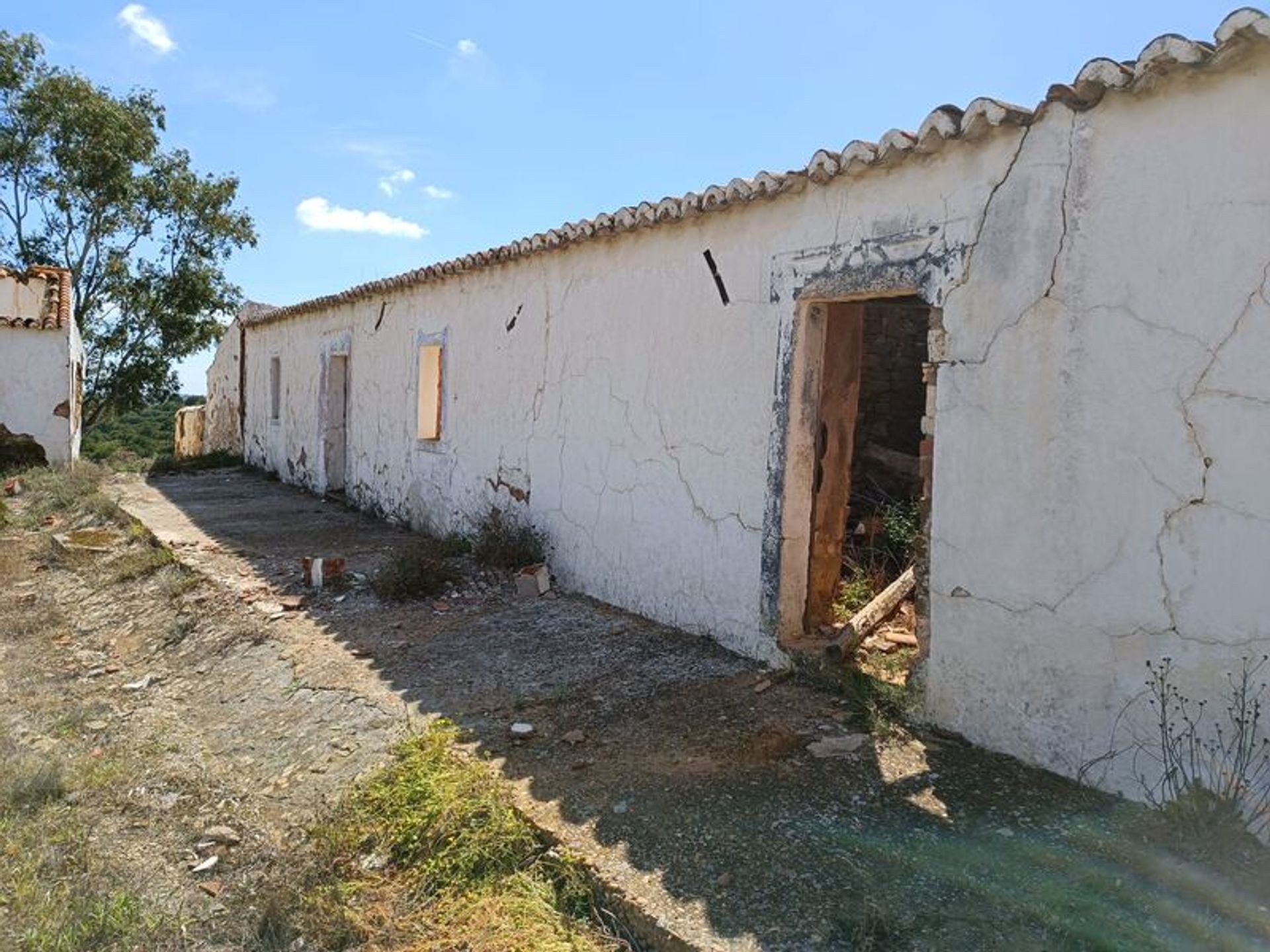 Tierra en Castro Marim, Faraón 10485056