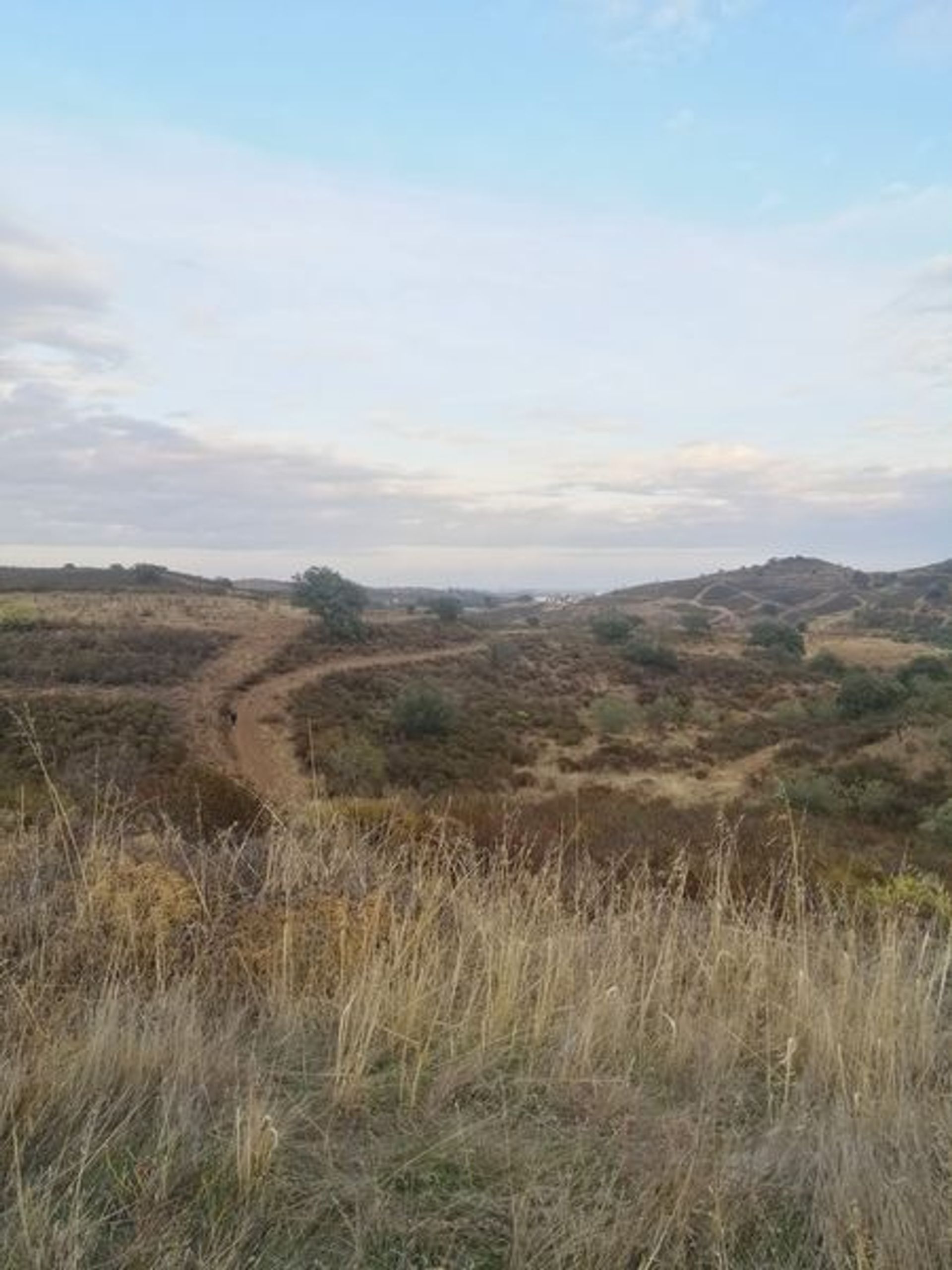 Terra no Castro Marim, Faro 10485121