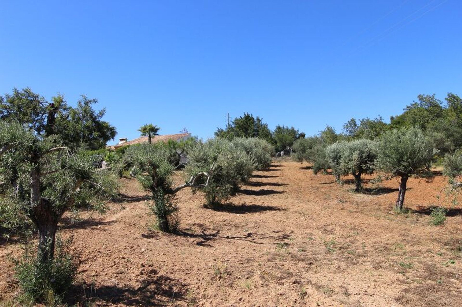 Tierra en São Brás de Alportel, Faro District 10485124