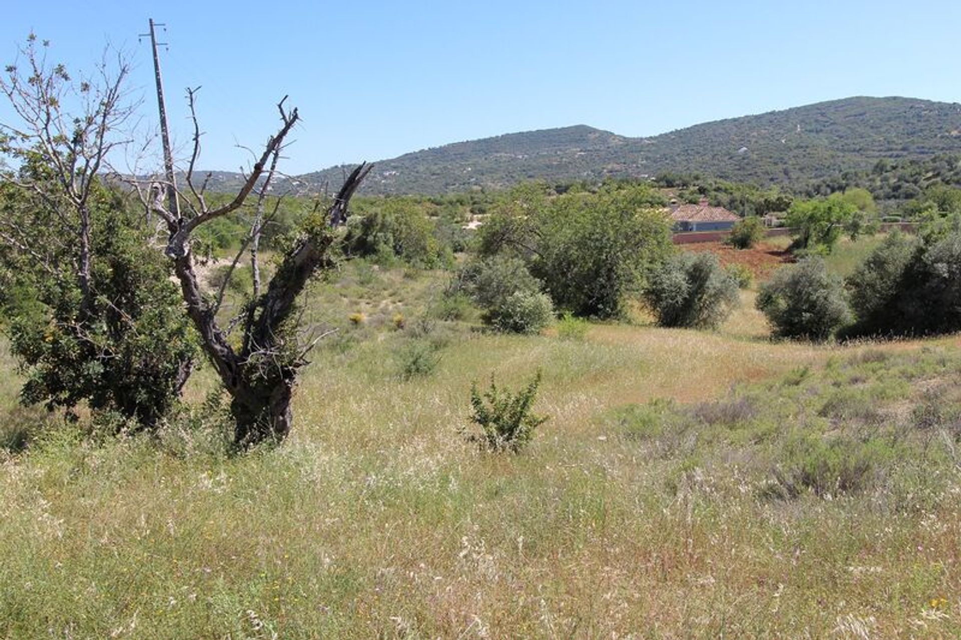 Tierra en São Brás de Alportel, Faro District 10485124