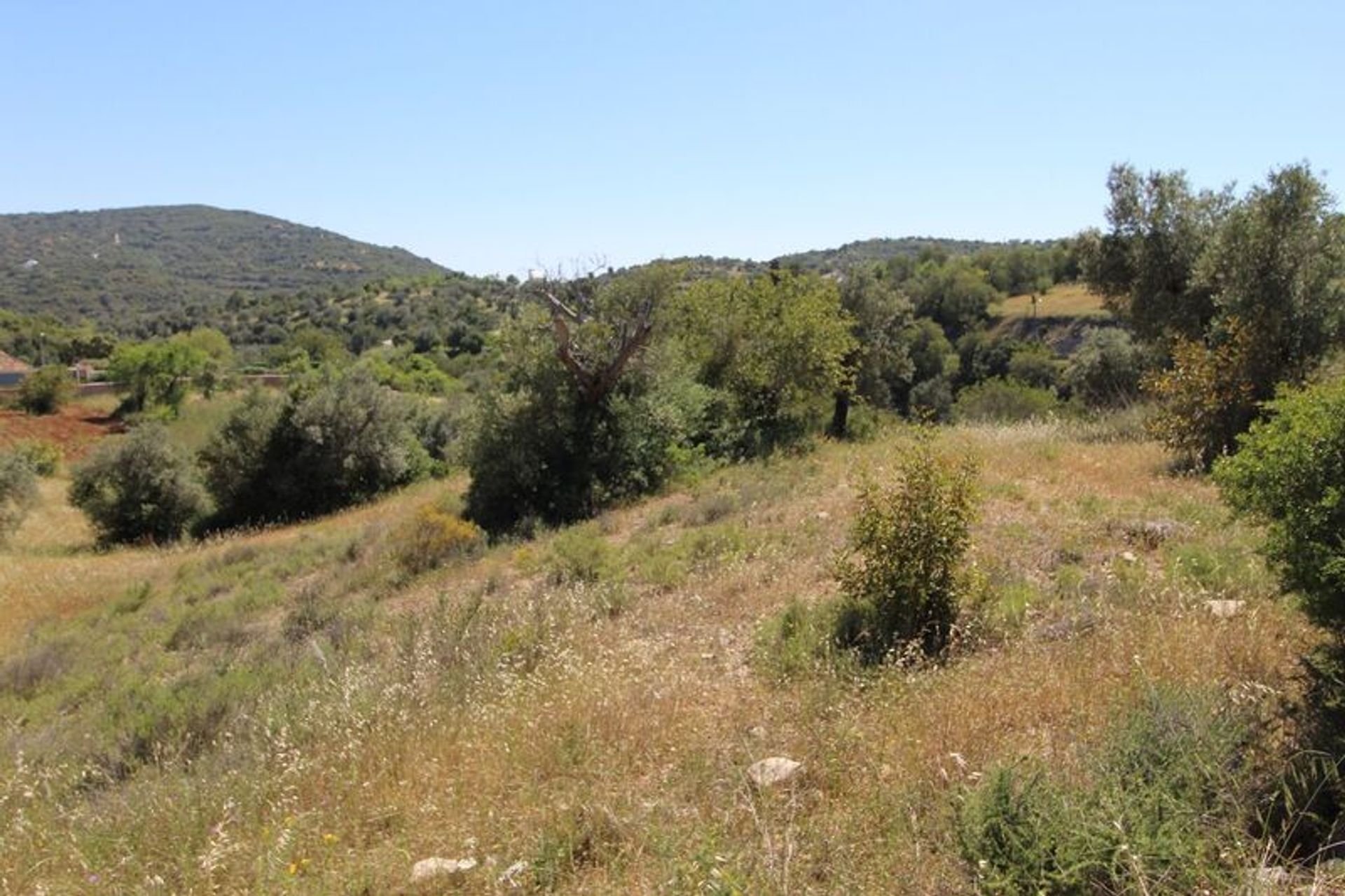 Tierra en São Brás de Alportel, Faro District 10485124