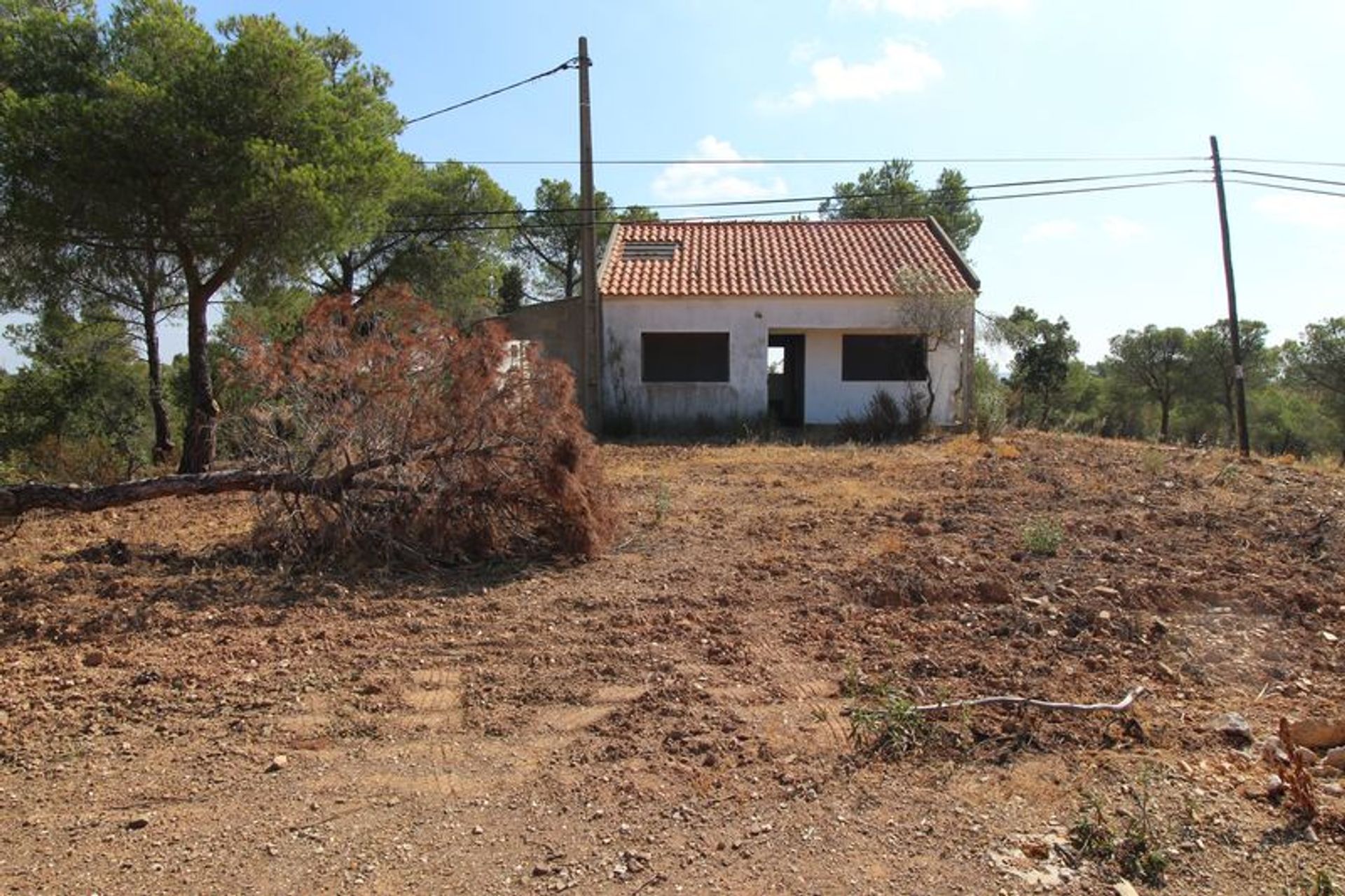 Terra no Odeleite, Faro 10485125