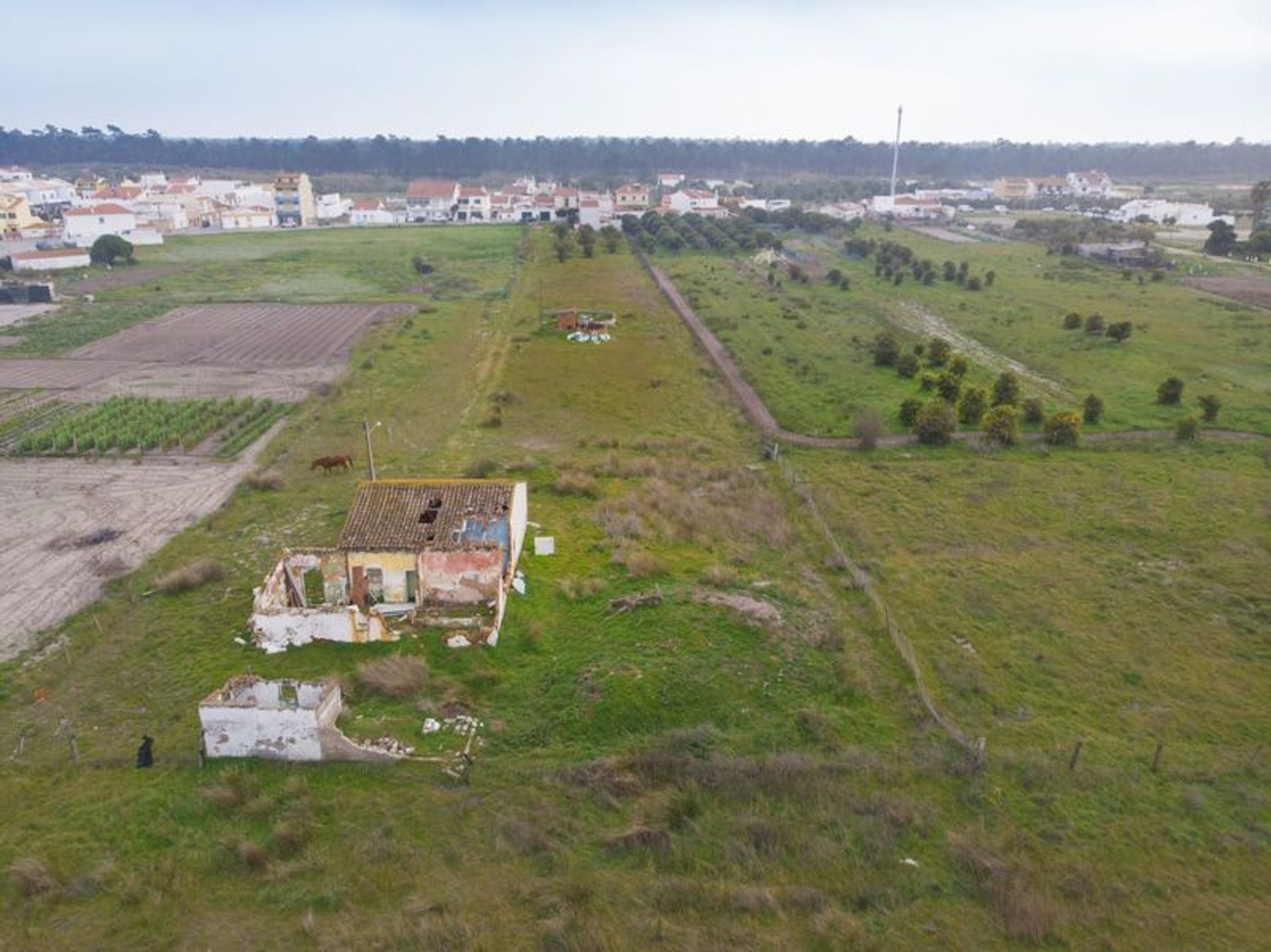 土地 在 Vila Real de Santo António, Faro District 10485233