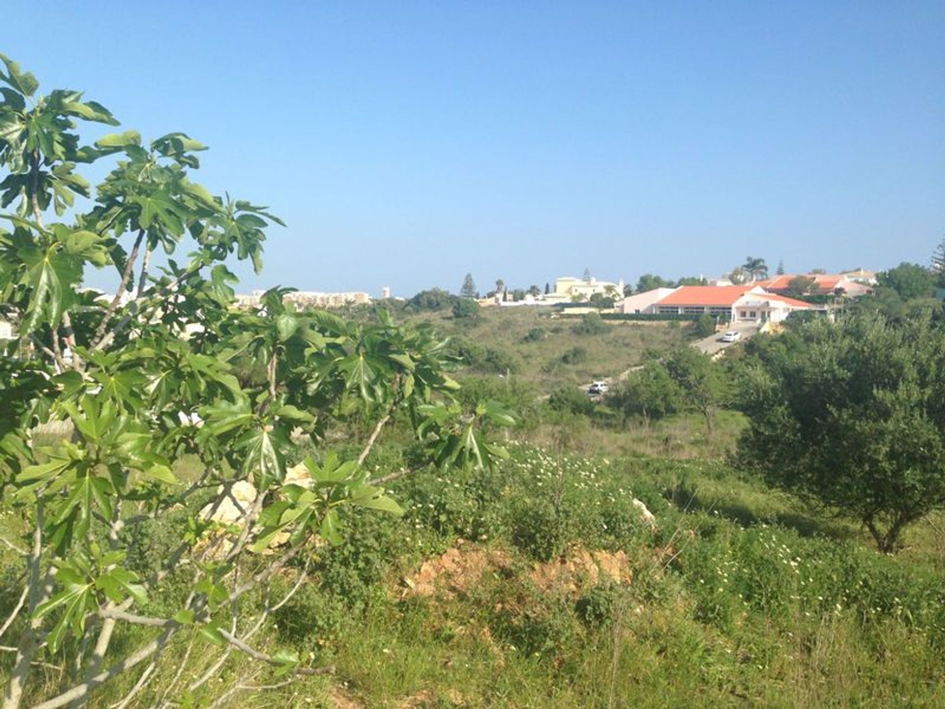 土地 在 Faro, Faro District 10485286