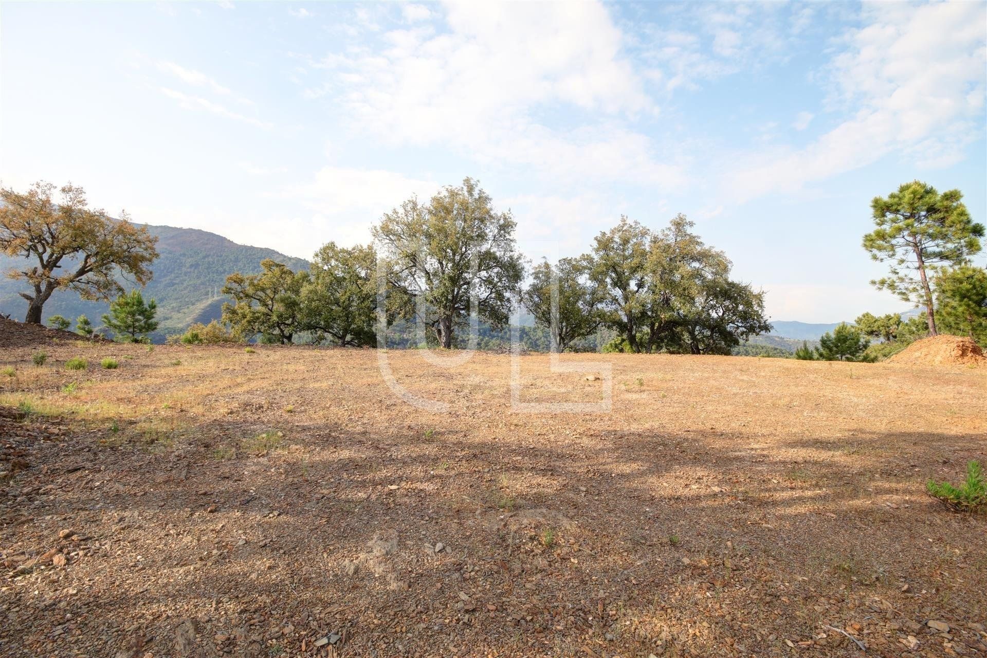 Land in Benahavís, Andalucía 10485361