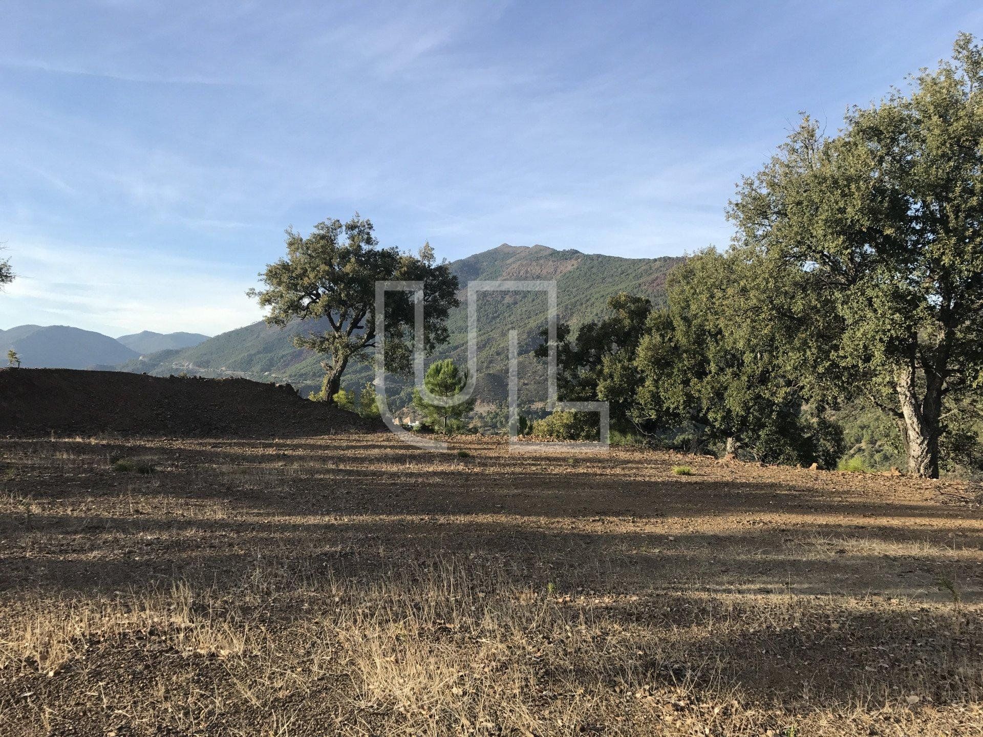 Land in Benahavís, Andalucía 10485361