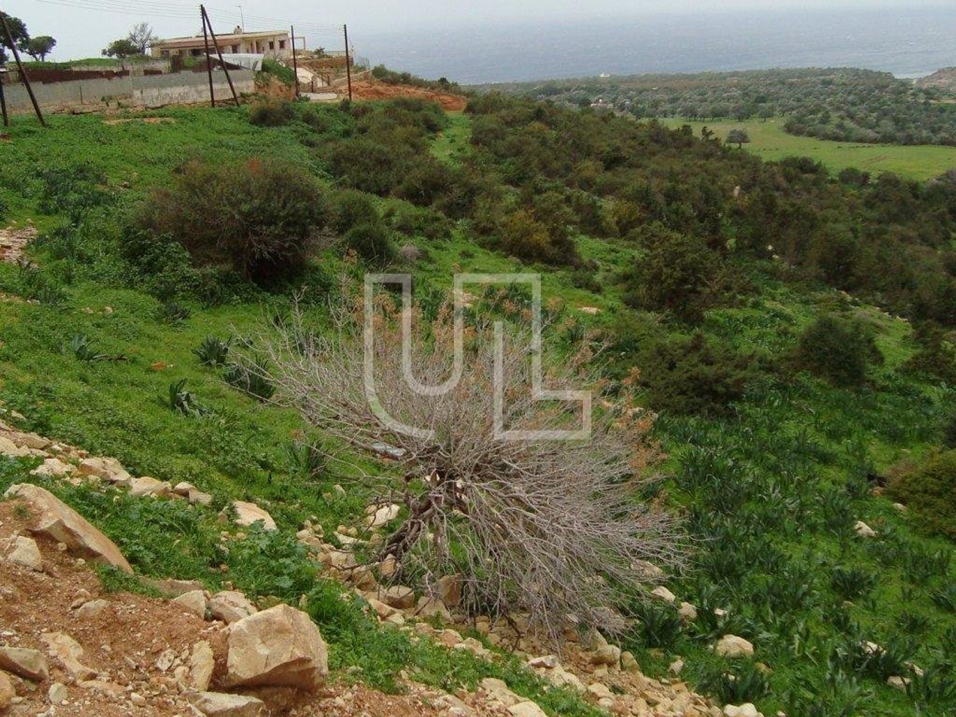 Casa nel Peyia, Paphos 10485517