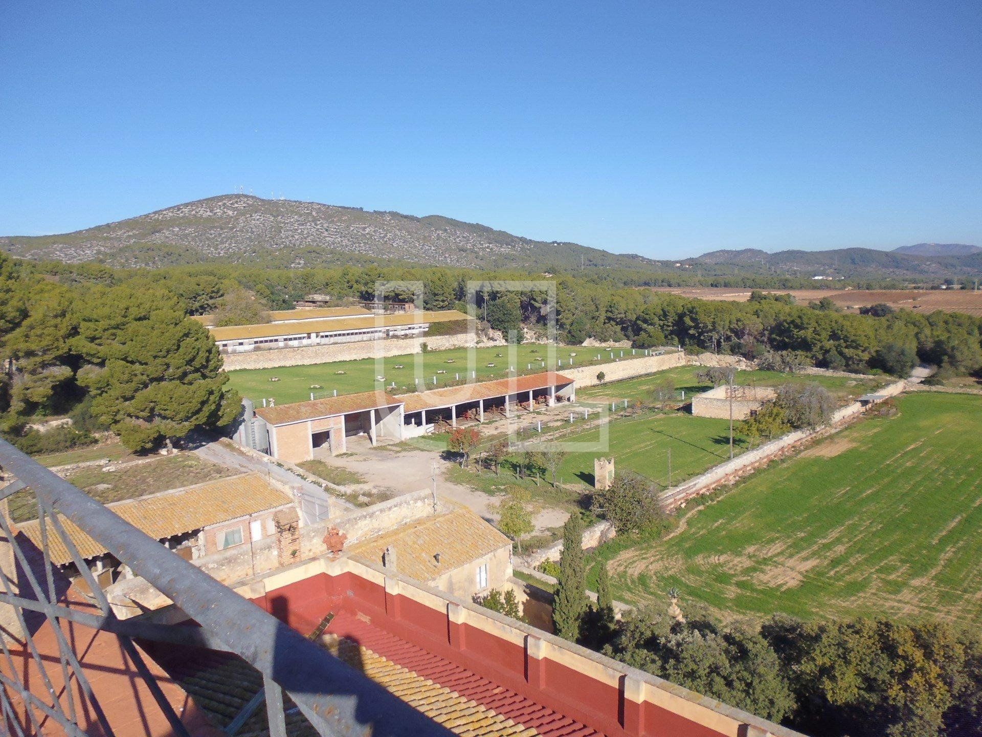 House in Sant Pere de Ribes, Cataluña 10485623