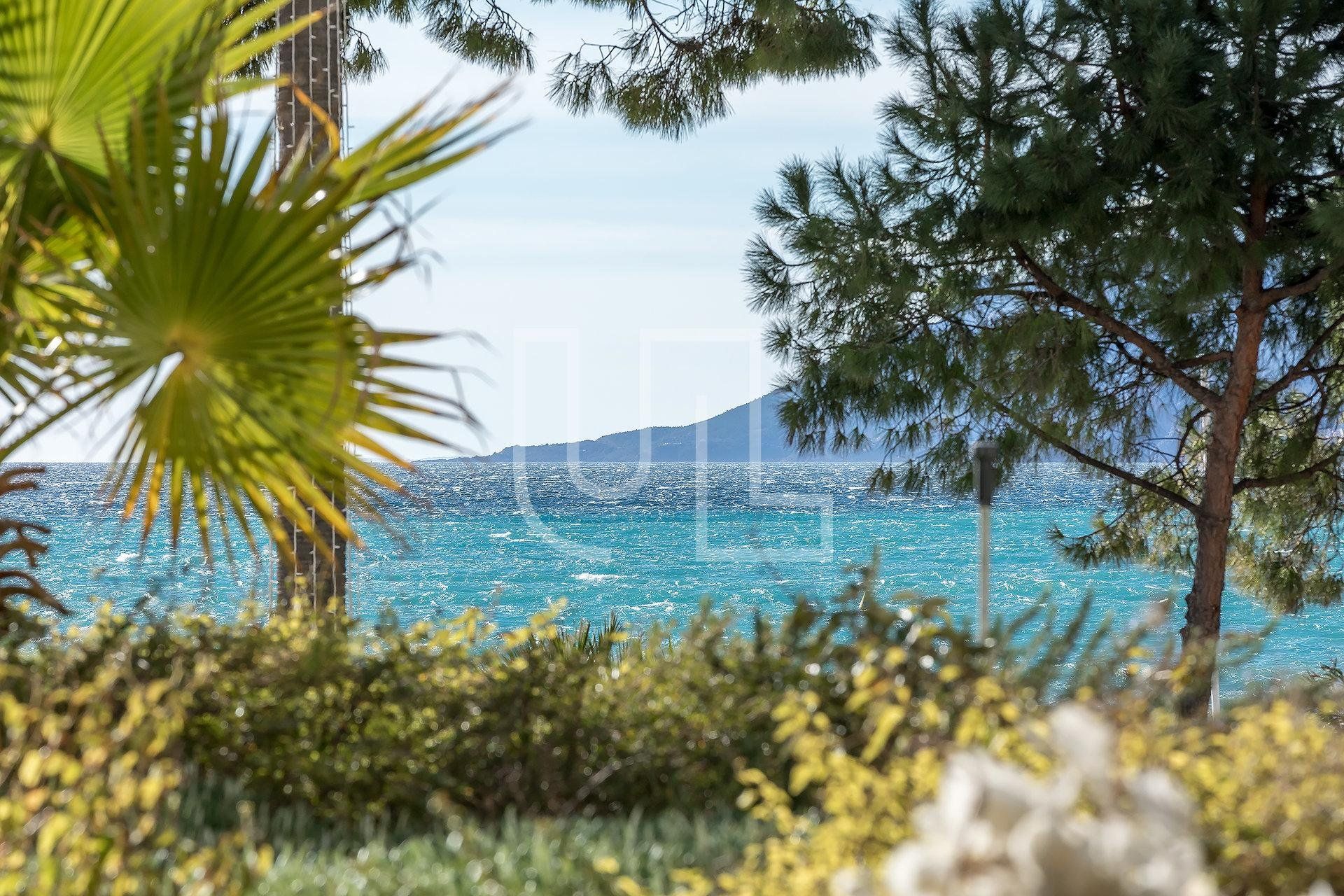 सम्मिलित में Cannes, Provence-Alpes-Côte d'Azur 10485709