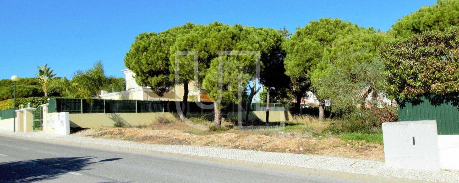 Land in Rossio ao Sul do Tejo, Santarem 10485746