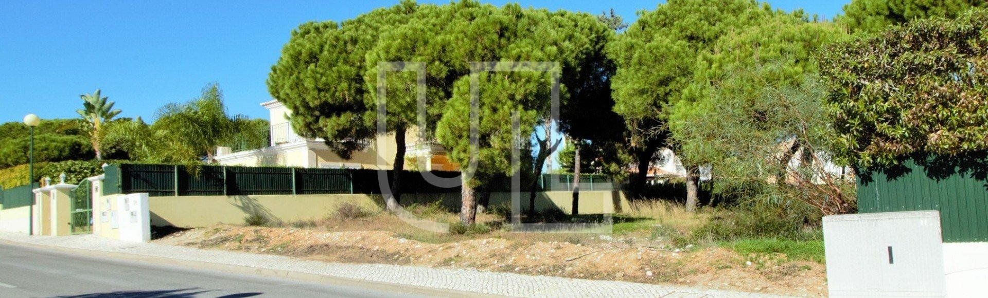 Wylądować w Rossio ao Sul do Tejo, Santarem 10485746