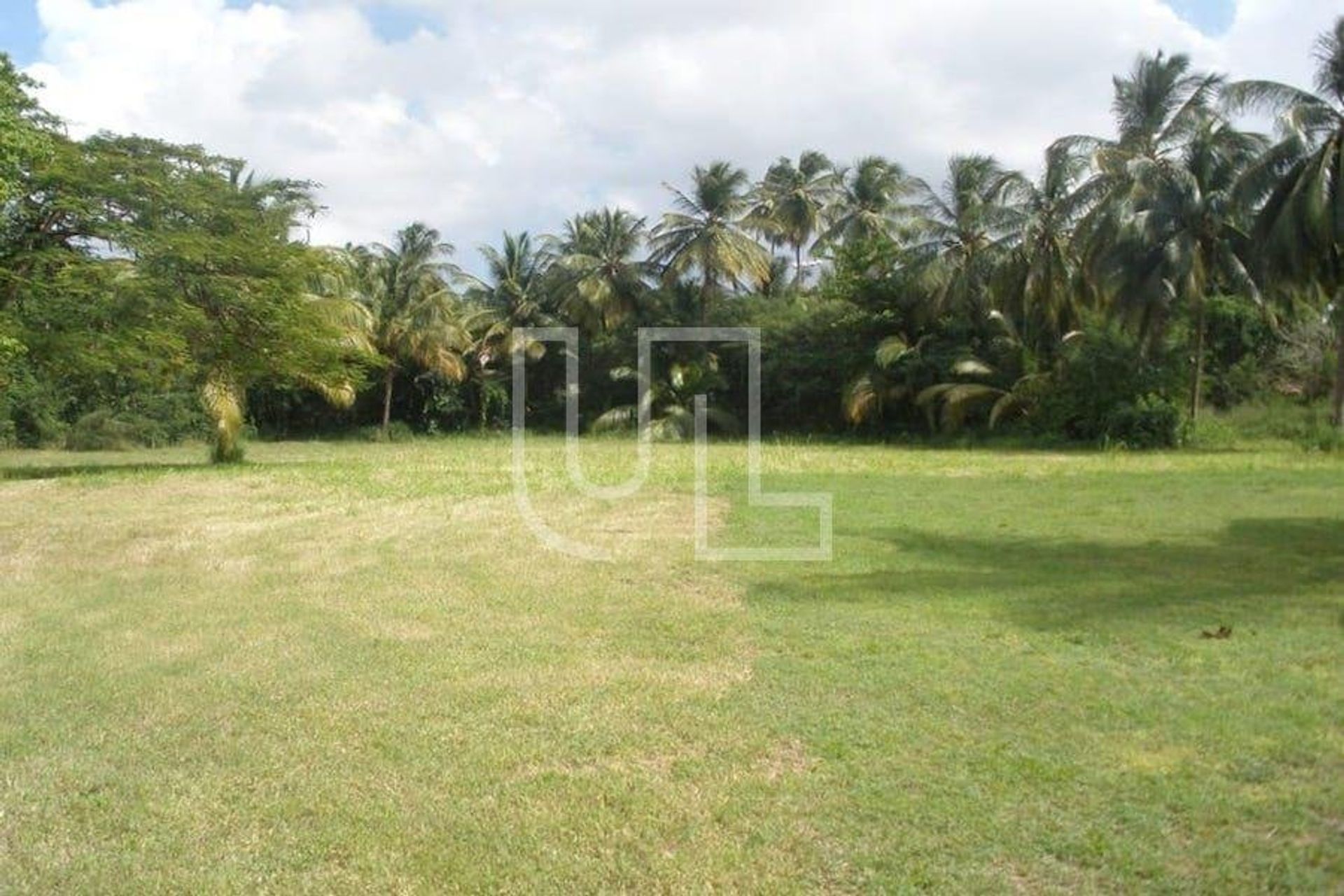 Land i Speightstown, Sankt Peter 10486494