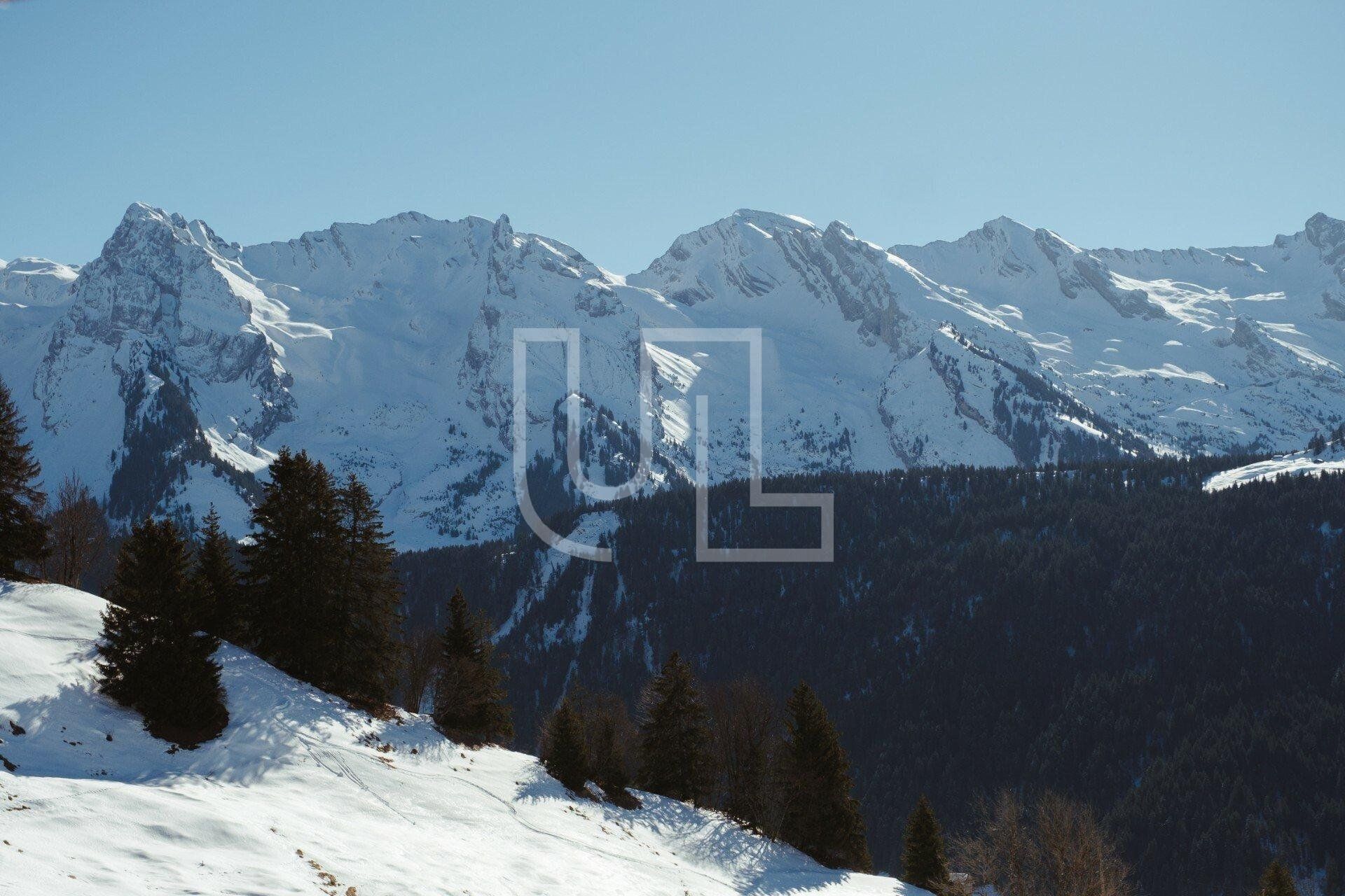 Lain di Le Grand-Bornand, Auvergne-Rhône-Alpes 10486523