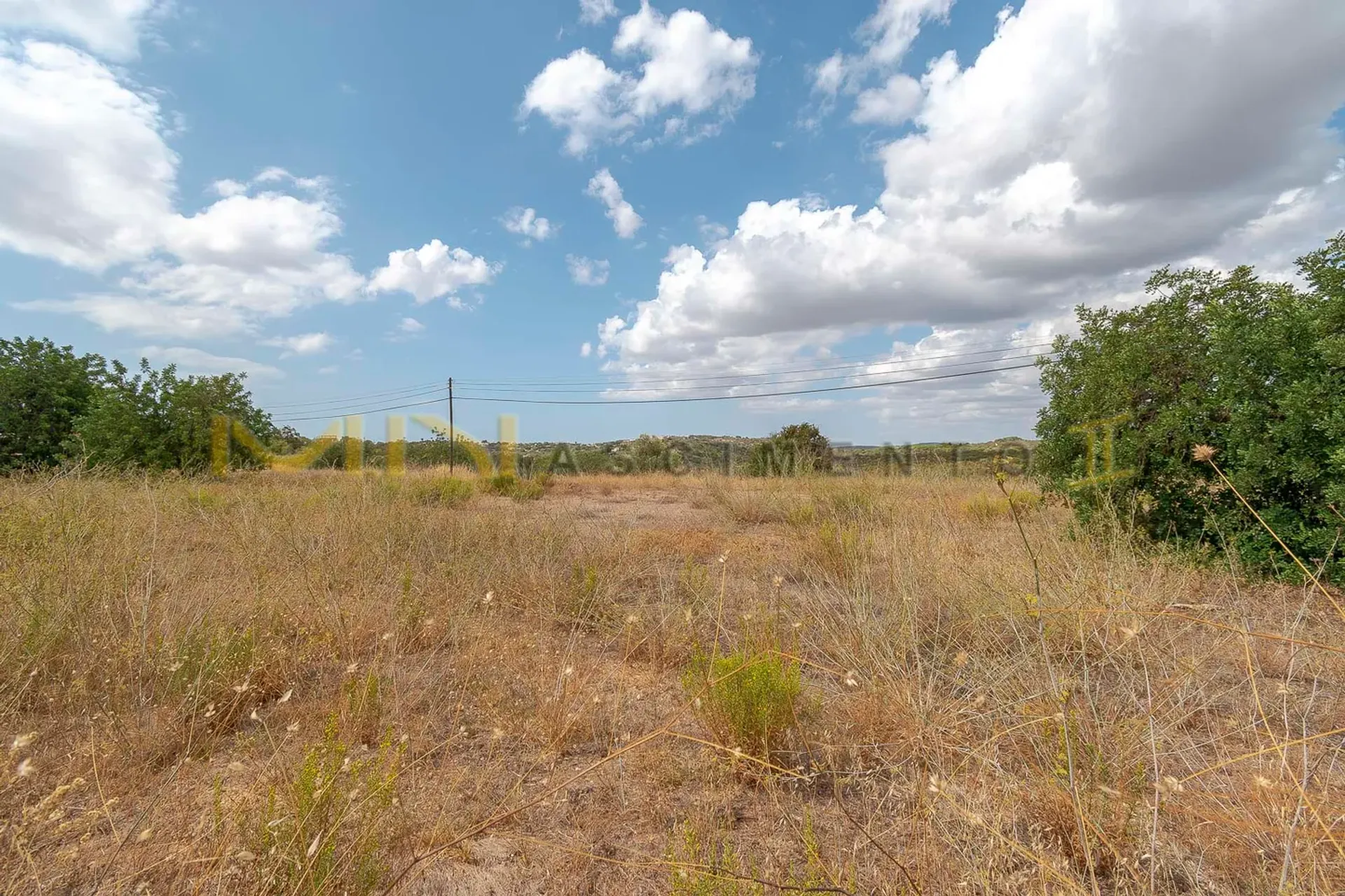 Tierra en Caños, Faraón 10486631