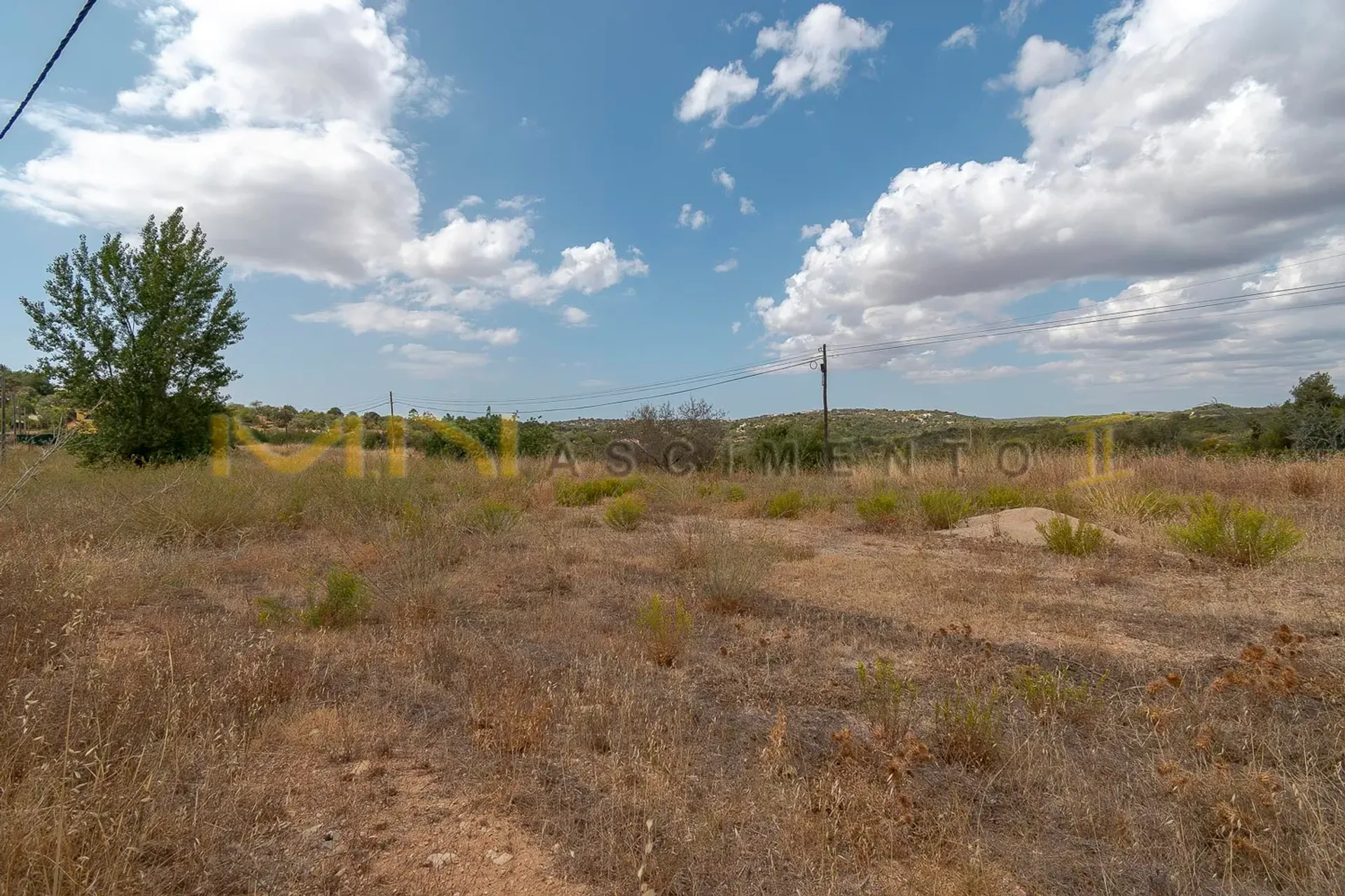 Tierra en Caños, Faraón 10486631