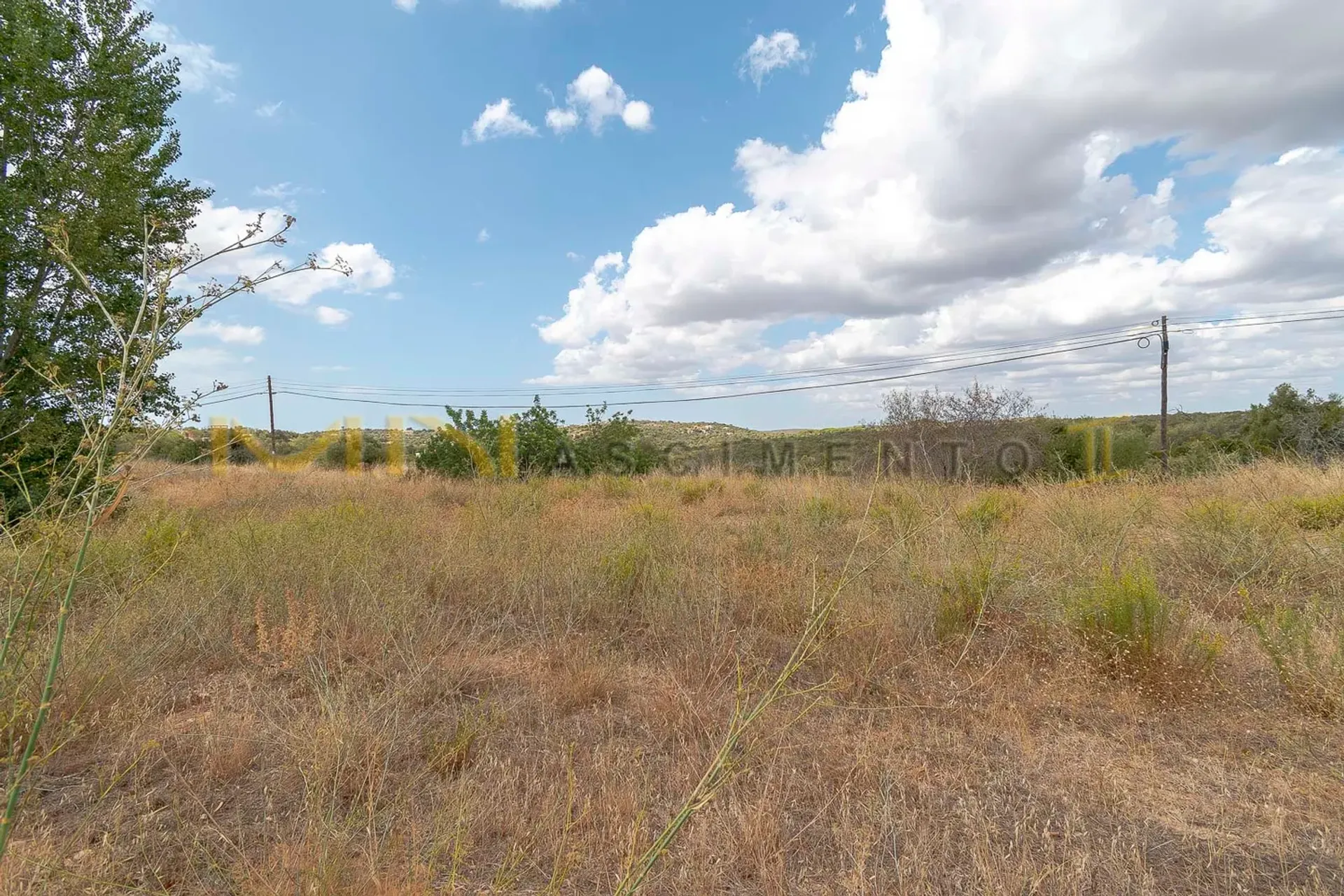 Tierra en Caños, Faraón 10486631