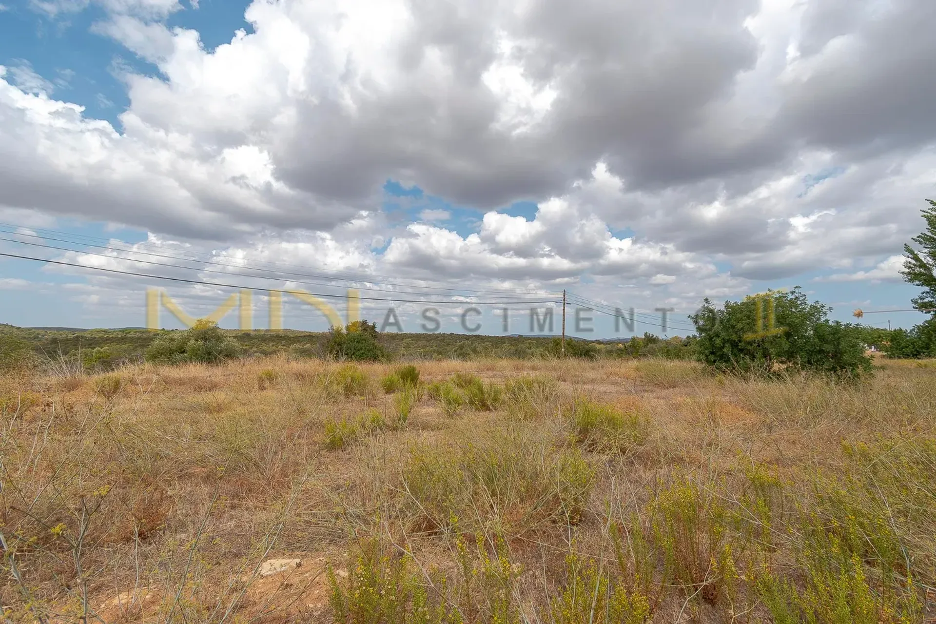 Tierra en Caños, Faraón 10486631