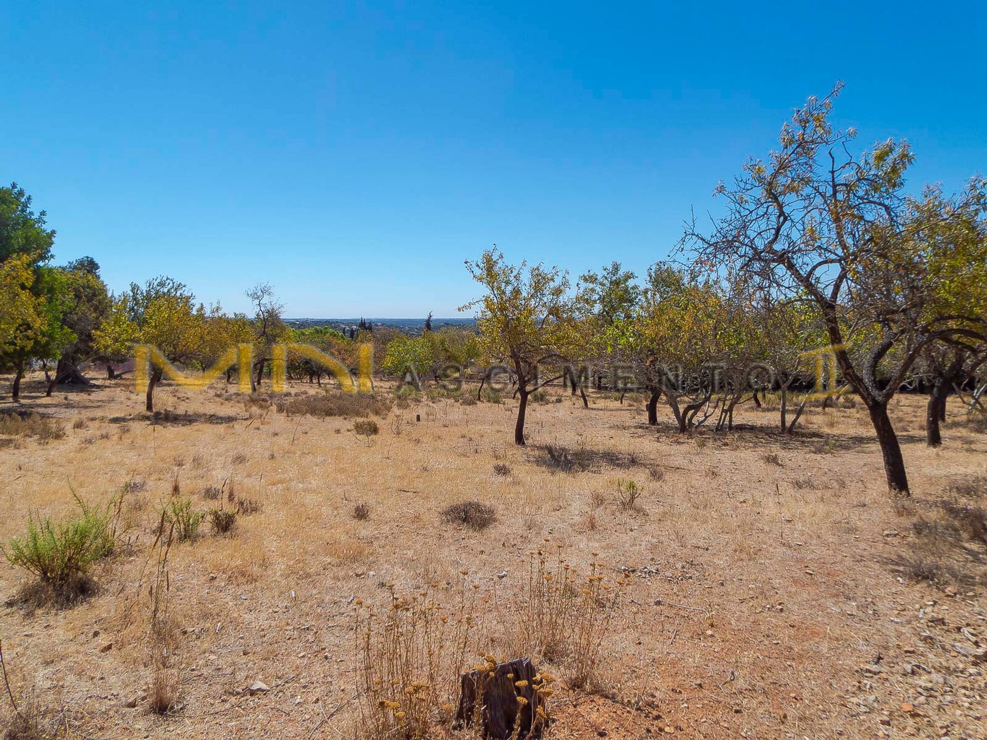 Land i Fonte de Boliqueime, Faro 10486632