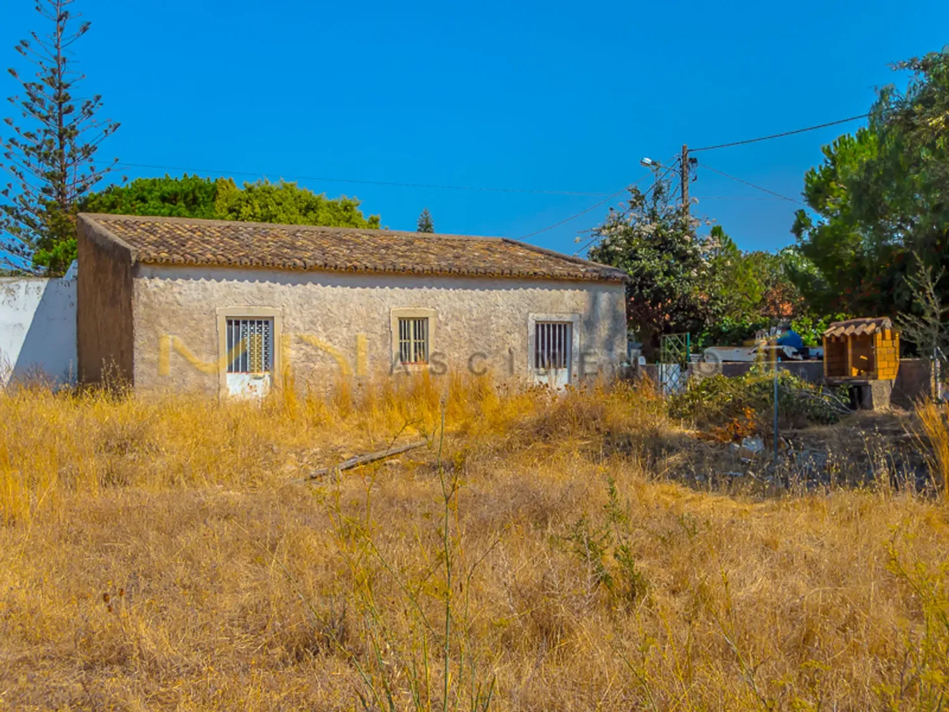 Komersial di Santa Bárbara de Nexe, Faro 10486633