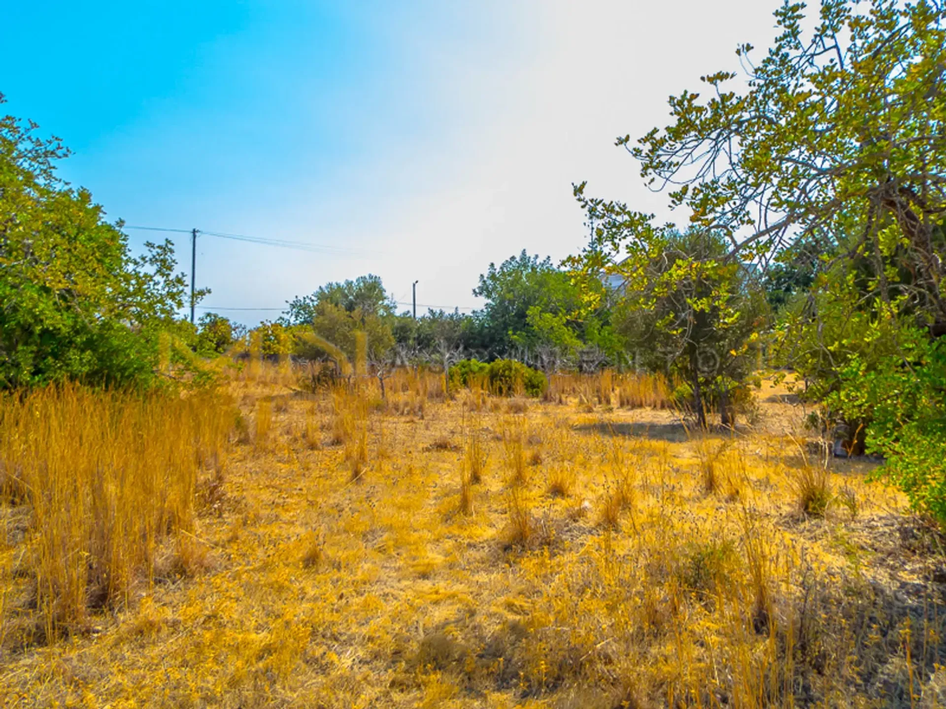 Tanah dalam Santa Bárbara de Nexe, Faro 10486633