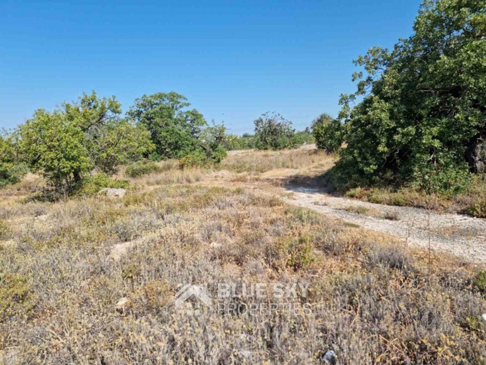 Land in Tremithousa, Pafos 10585682