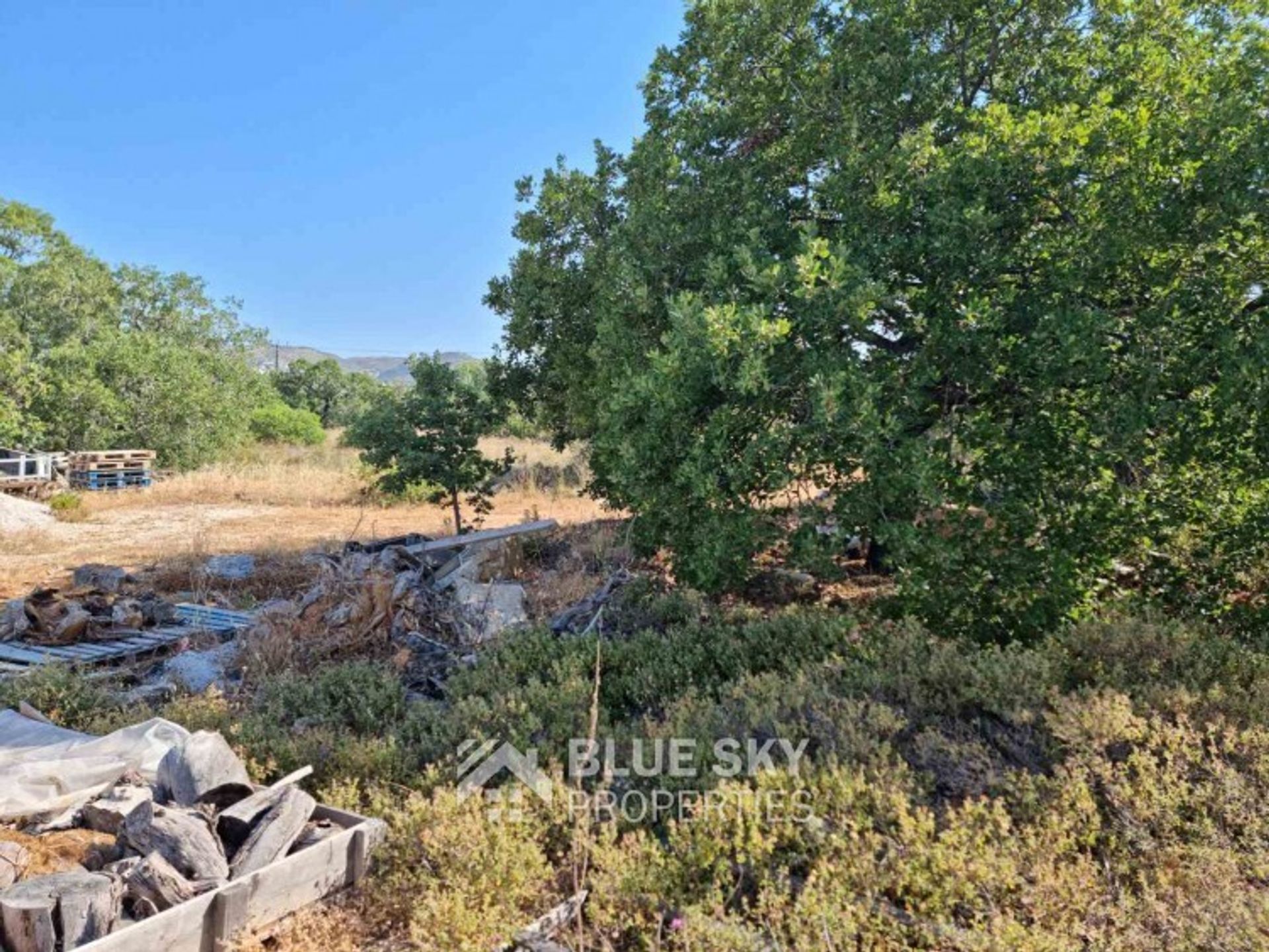 Land in Tremithousa, Pafos 10585682