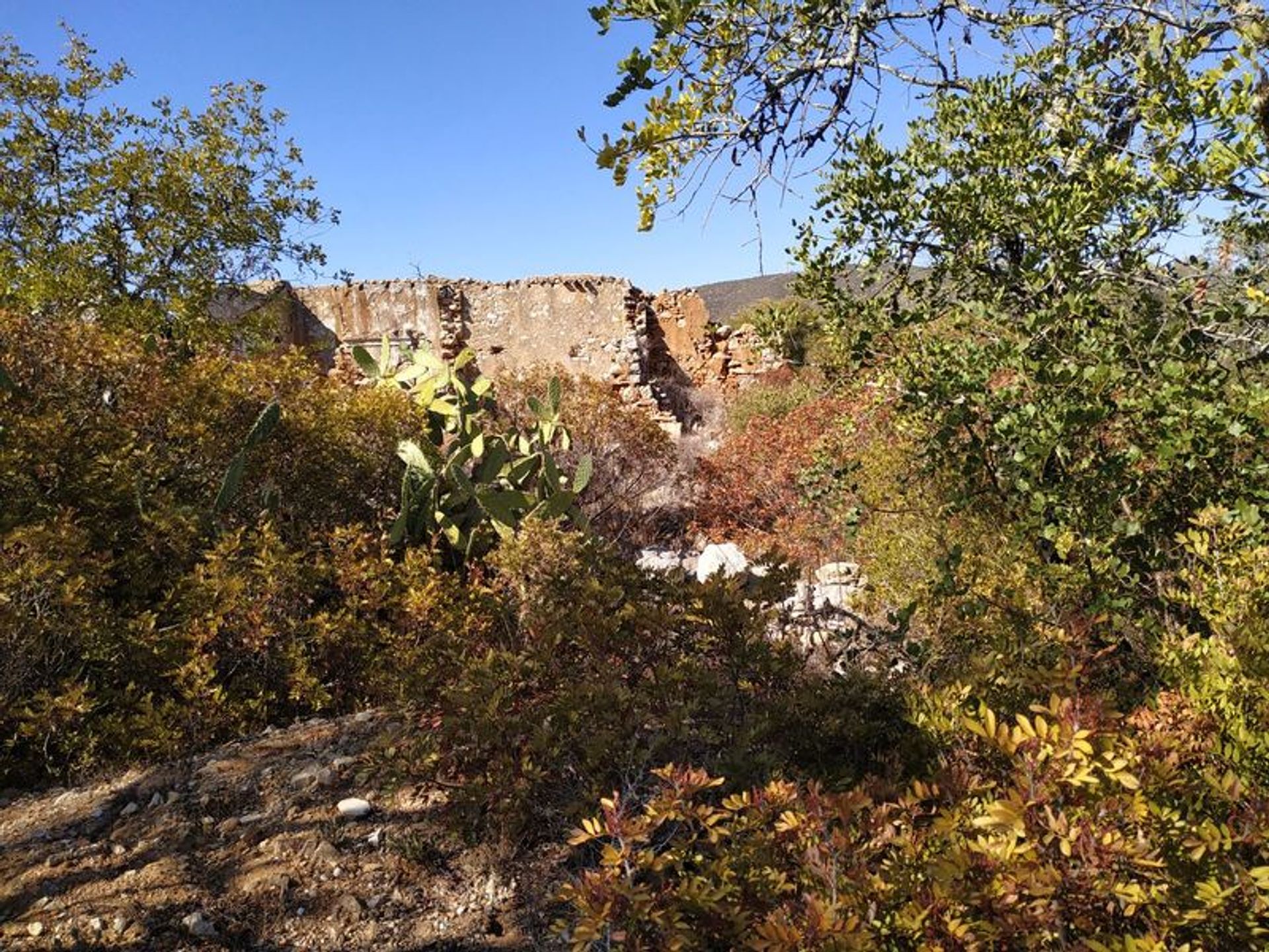 Rumah di Quelfes, Faro 10585768